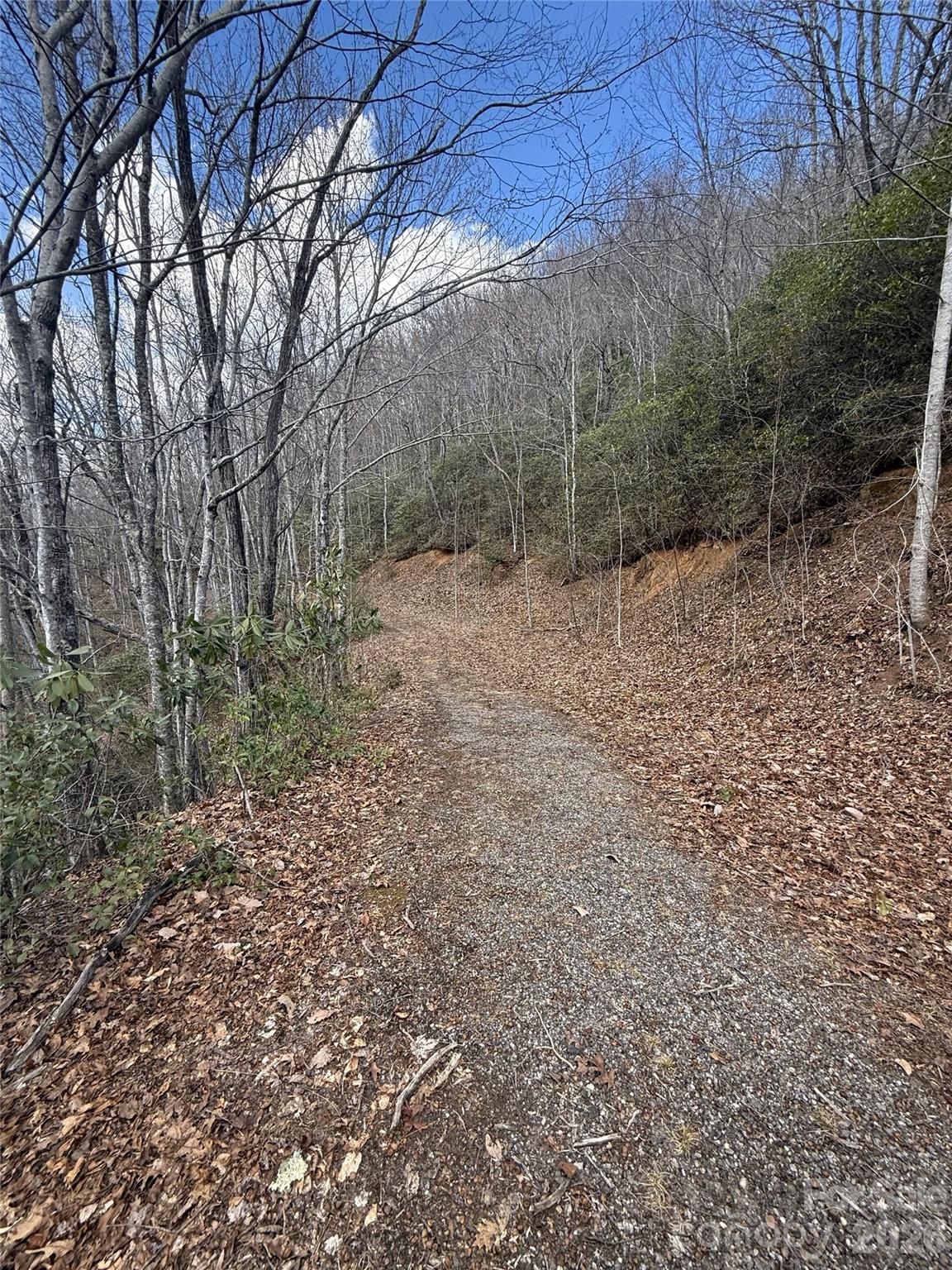 Balsam Mountain Preserve - Land