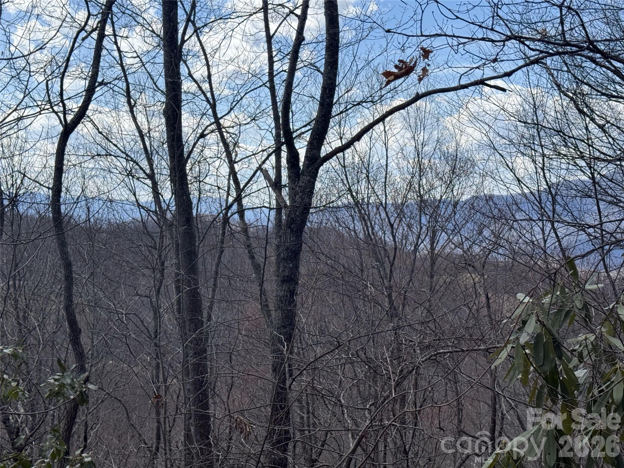 Balsam Mountain Preserve - Land