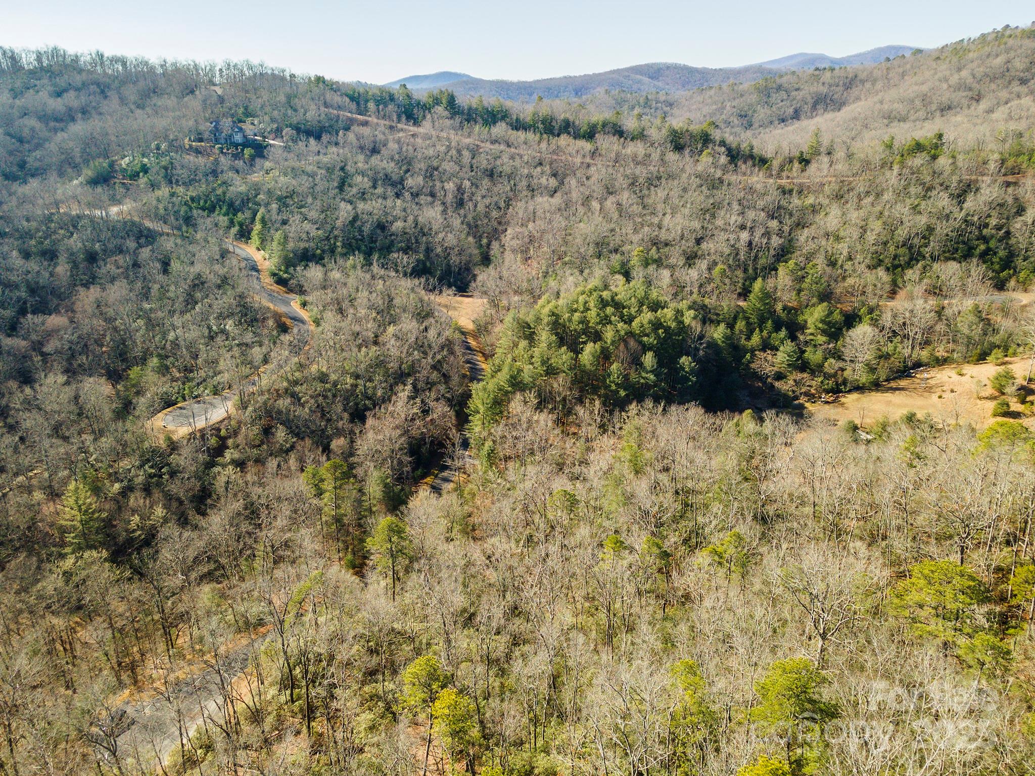 Homestead at Mills River - Land