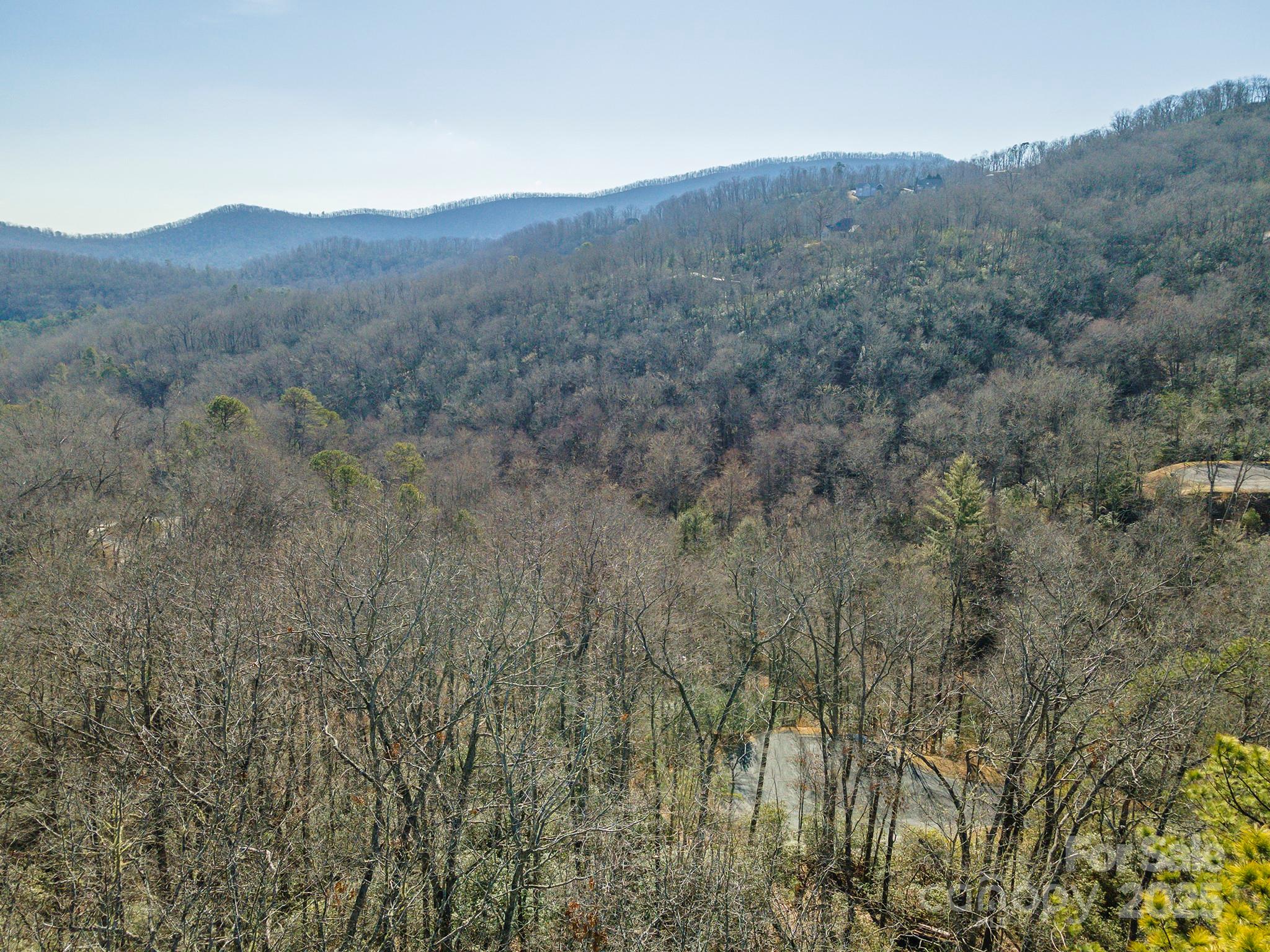 Homestead at Mills River - Land