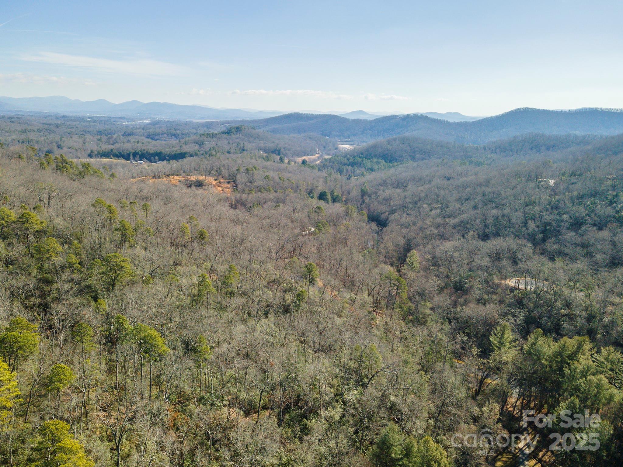 Homestead at Mills River - Land