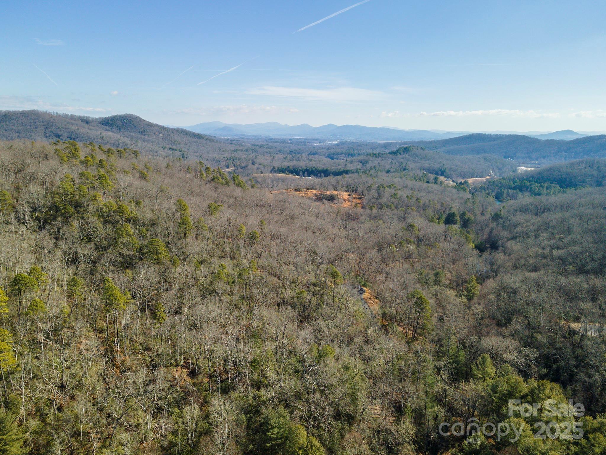 Homestead at Mills River - Land