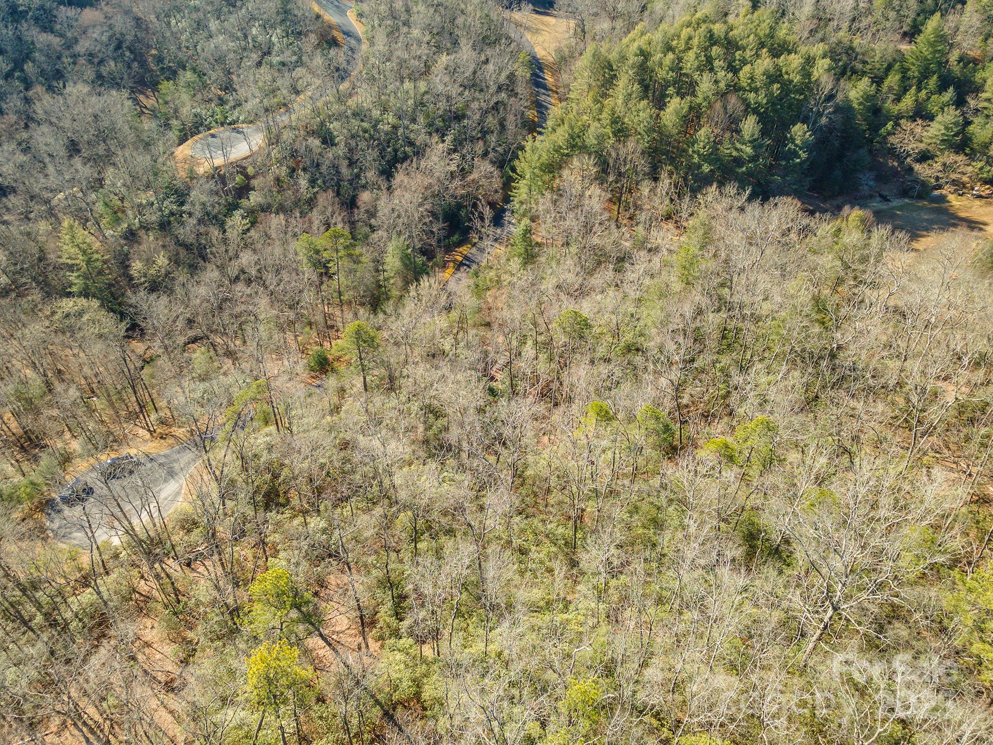 Homestead at Mills River - Land