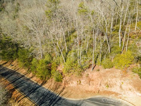99999 Caddis Lane 92 Horse Shoe NC 28742