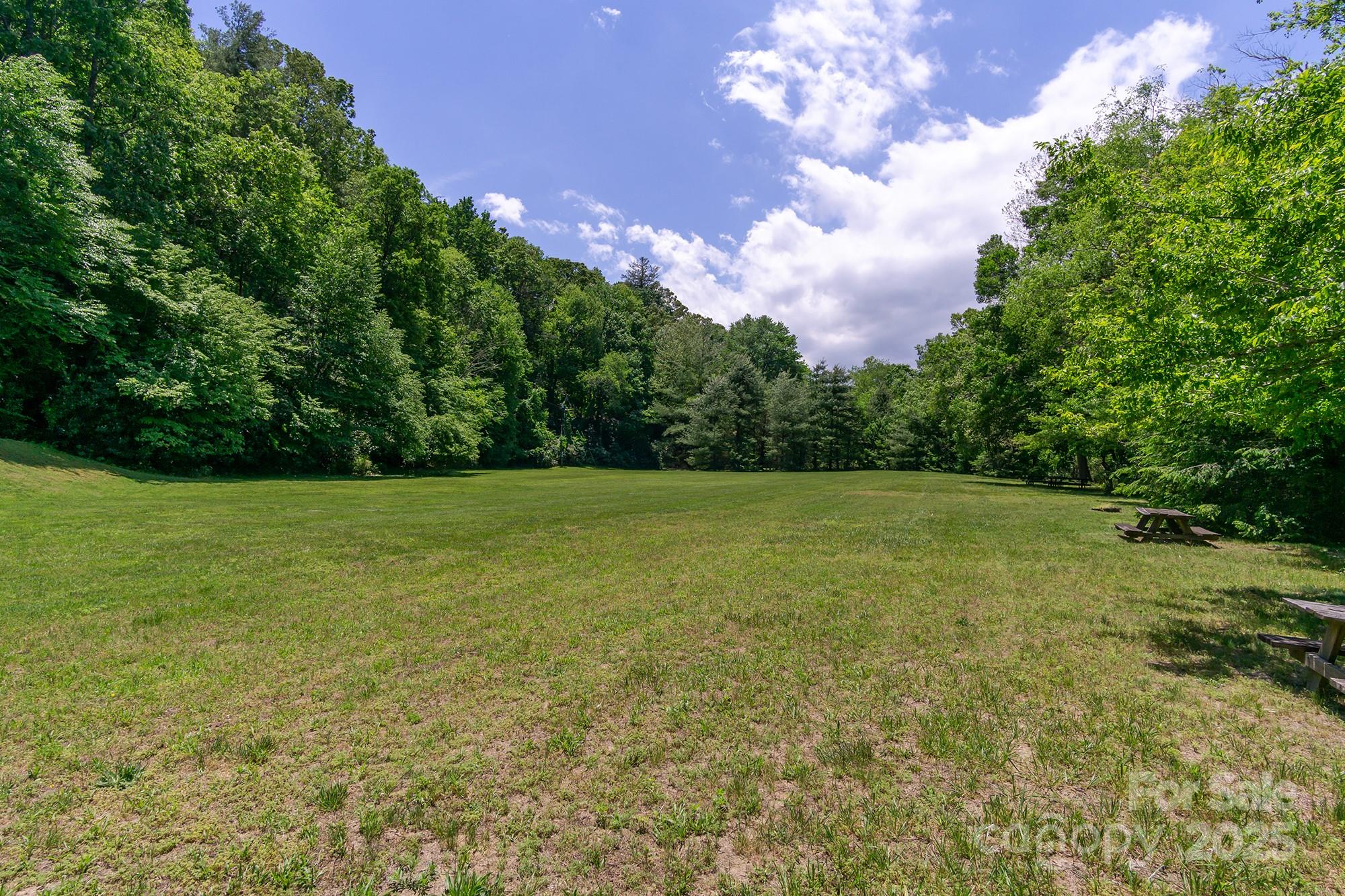 Homestead at Mills River - Land