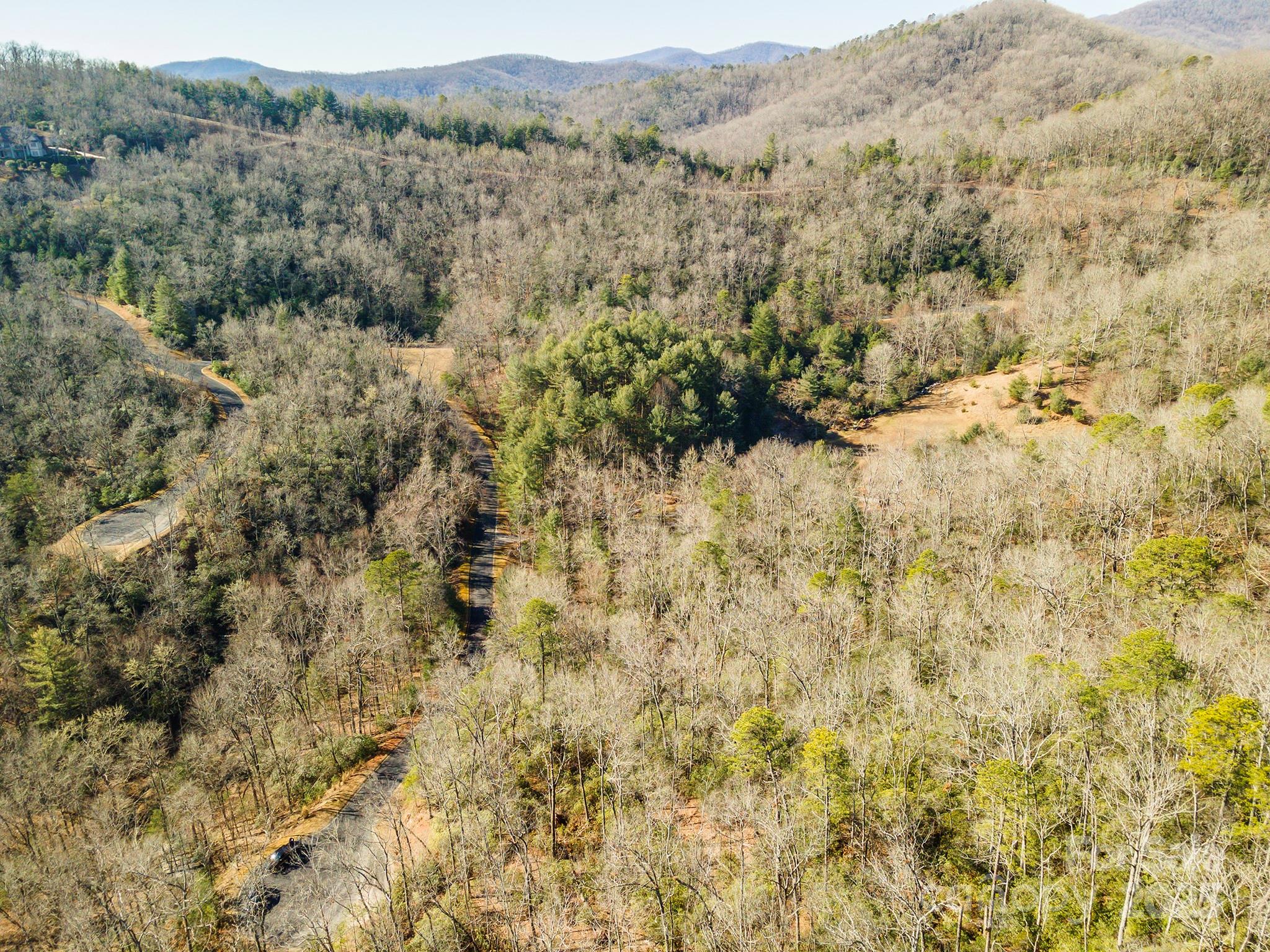 Homestead at Mills River - Land