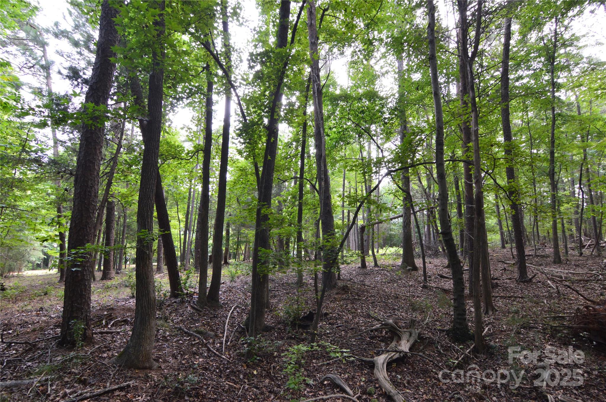 8013 Water View Drive 4