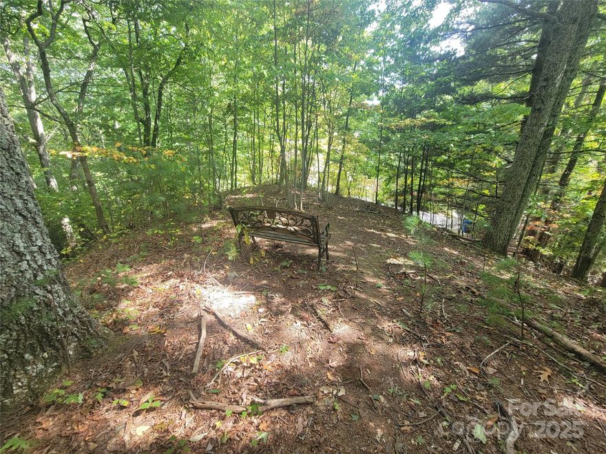 If you are looking for a lot to build your dream home in Waynesville, then look no further.  This .61 acre lot is located within easy distance to downtown Waynesville, shopping, schools and all of Haywood County's amenities.  City water available with tap fee. Light restrictions.