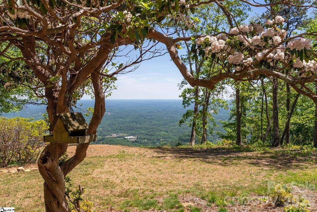 White Oak Mountain - Residential