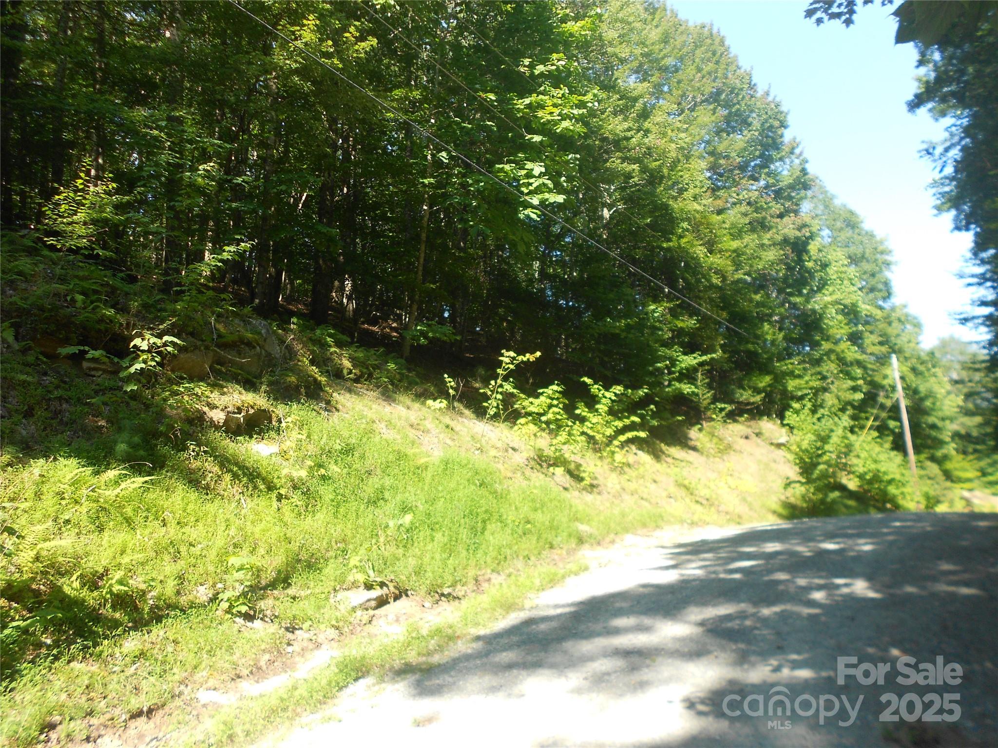 Ridgeview Woods - Land