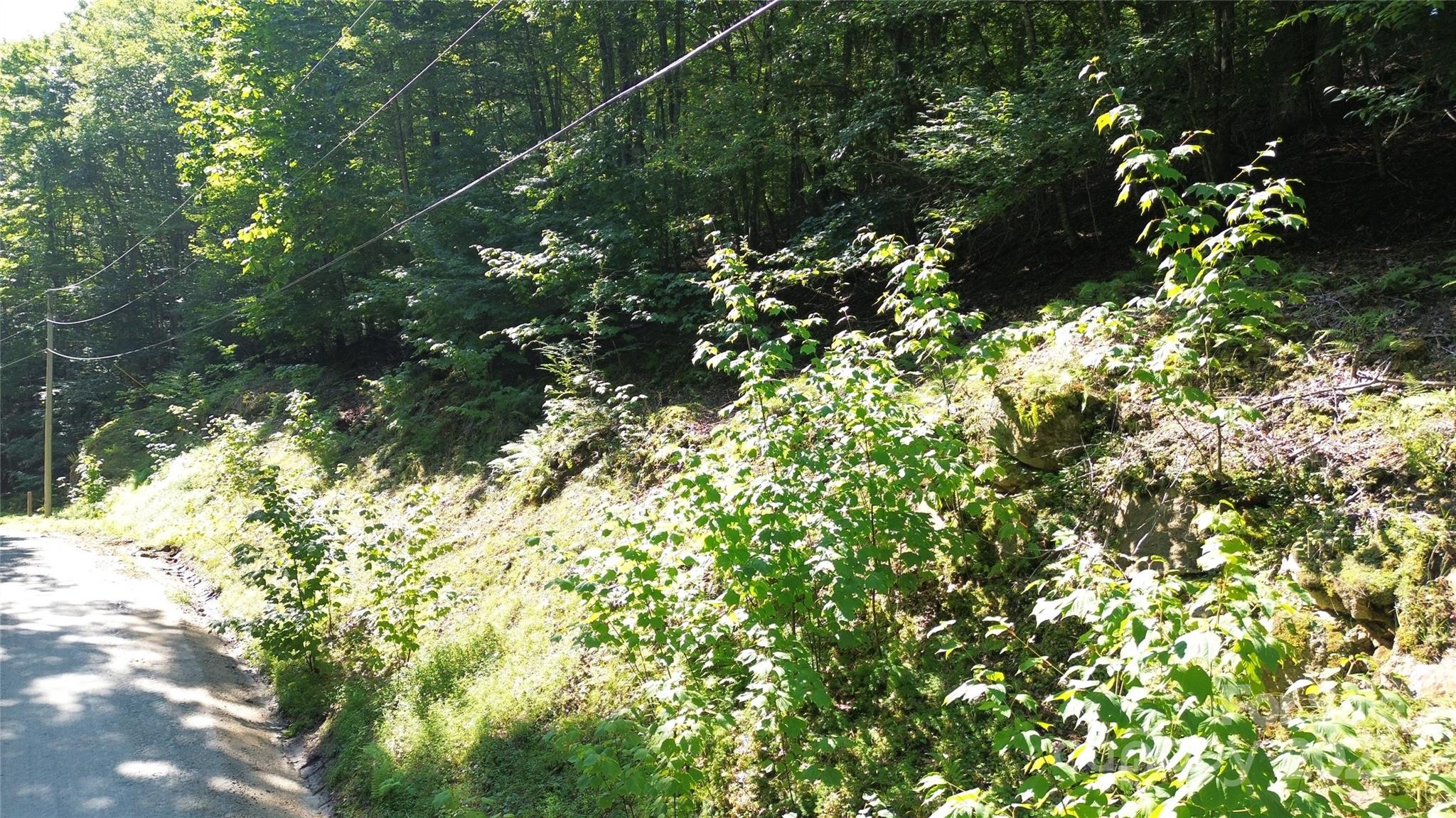 Ridgeview Woods - Land