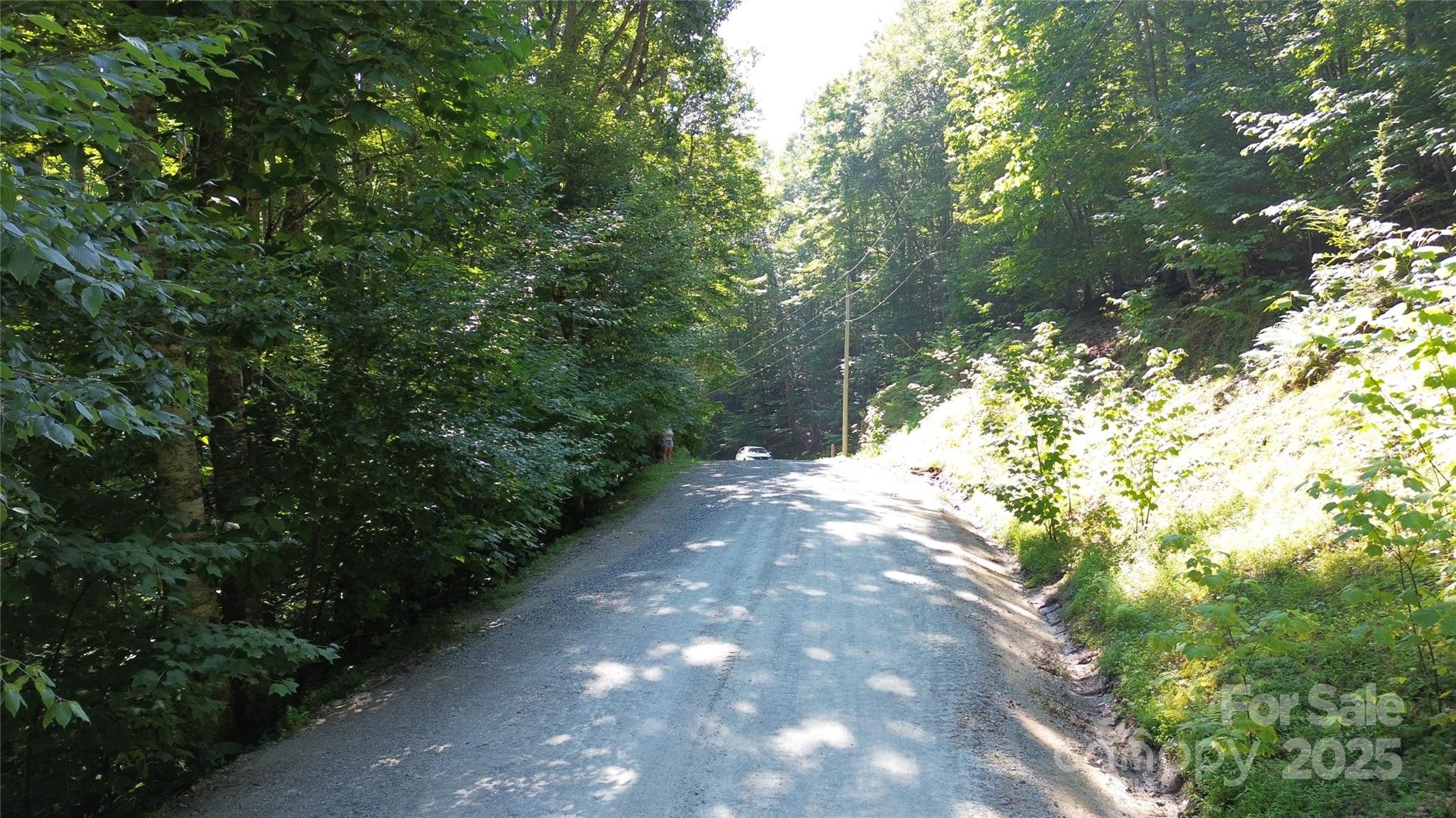 Ridgeview Woods - Land