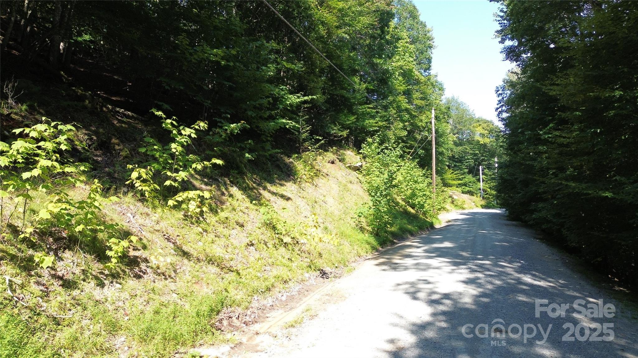 Ridgeview Woods - Land