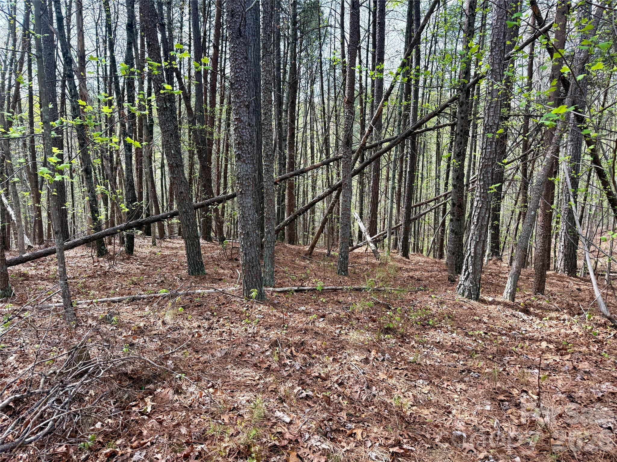 Grandview Peaks - Land