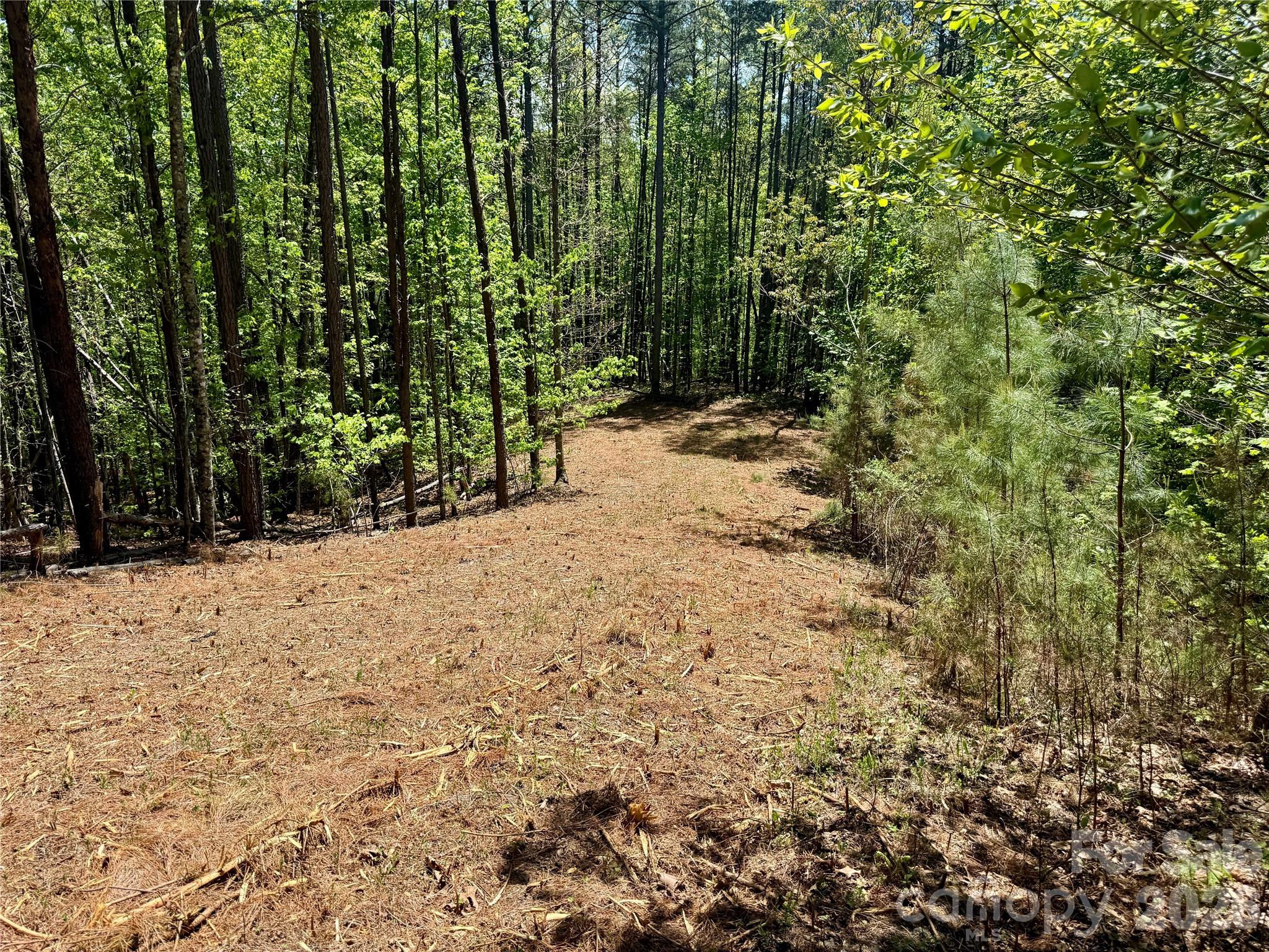 Grandview Peaks - Land