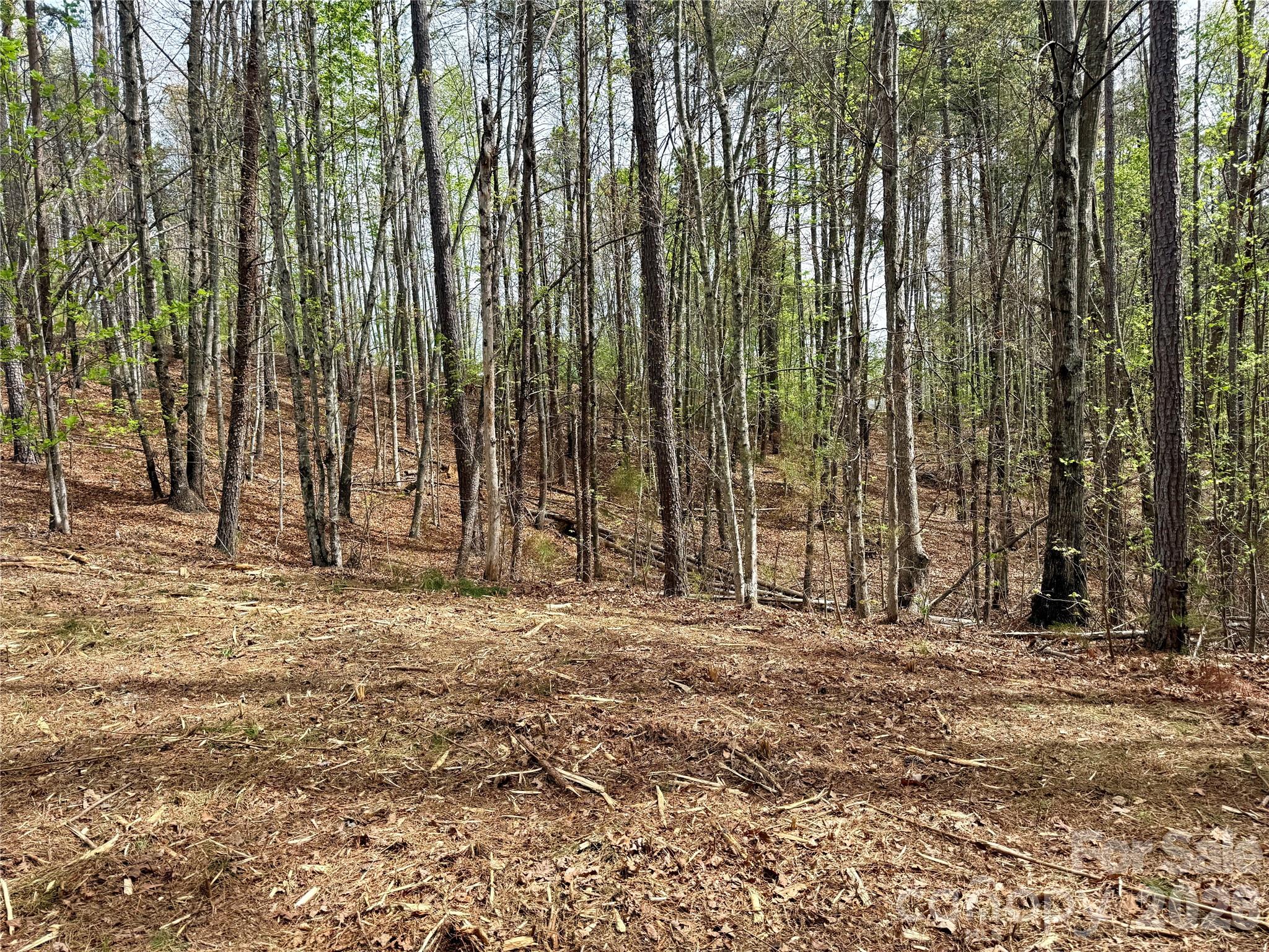 Grandview Peaks - Land