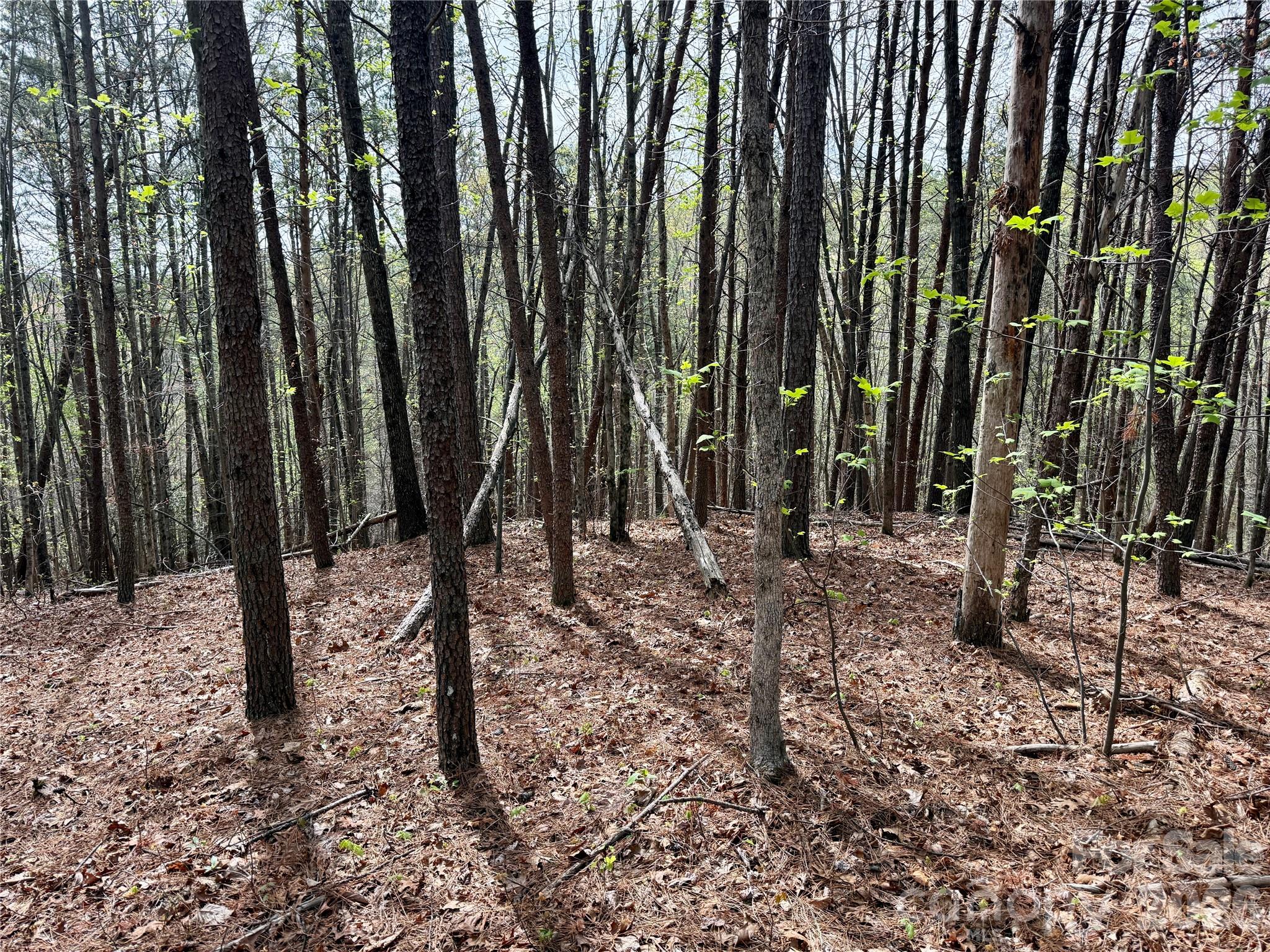 Grandview Peaks - Land