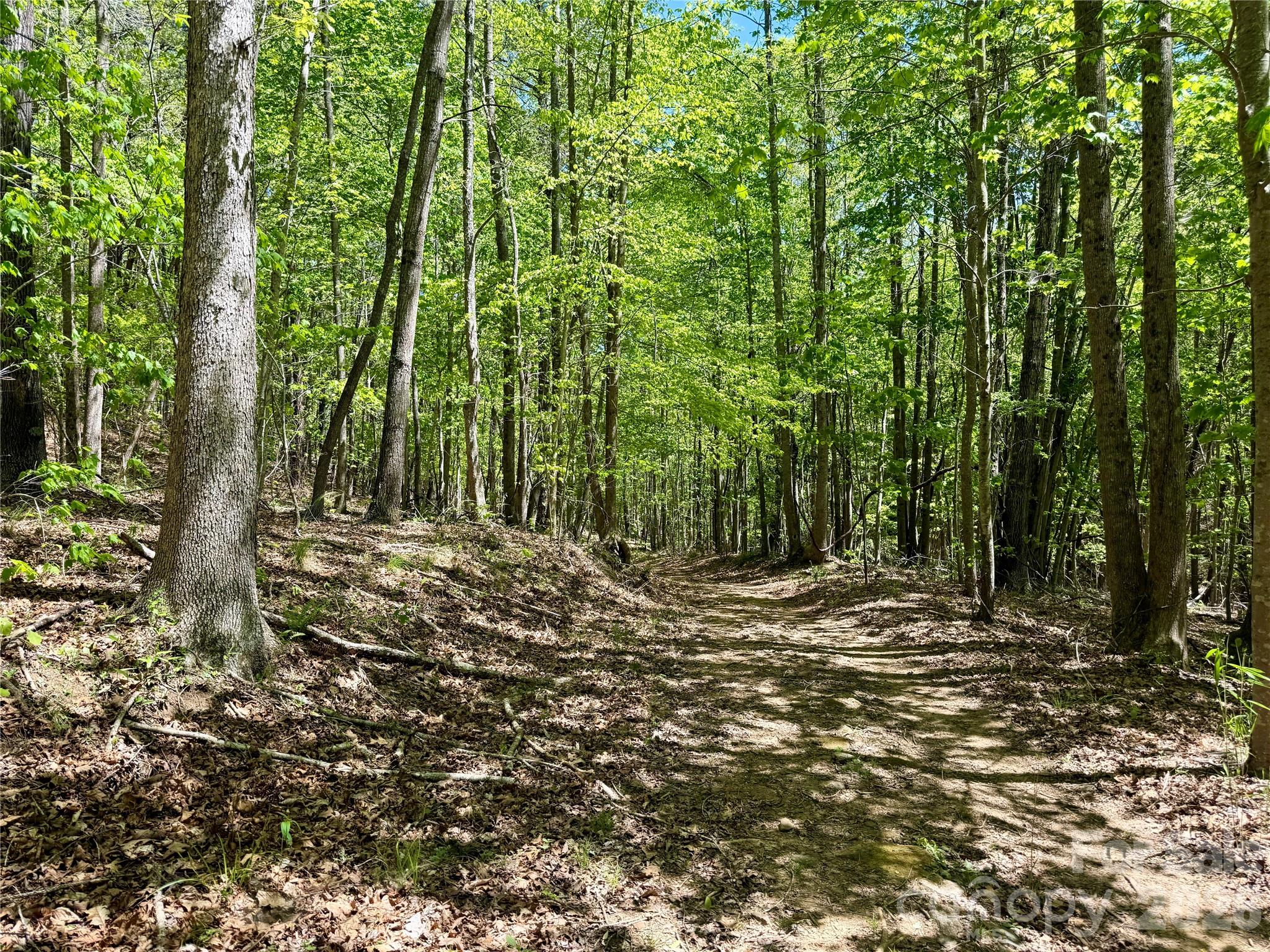 Grandview Peaks - Land