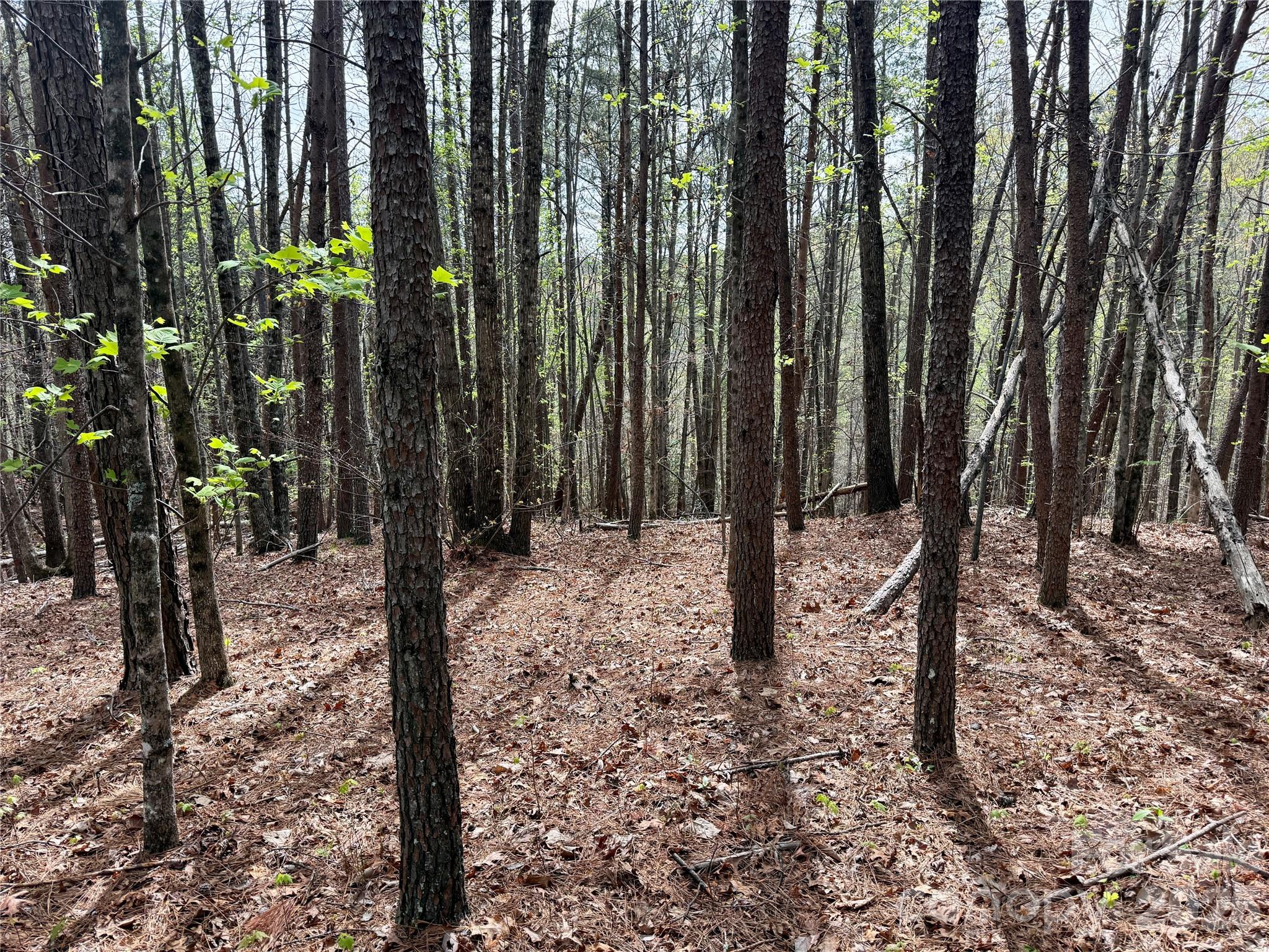 Grandview Peaks - Land