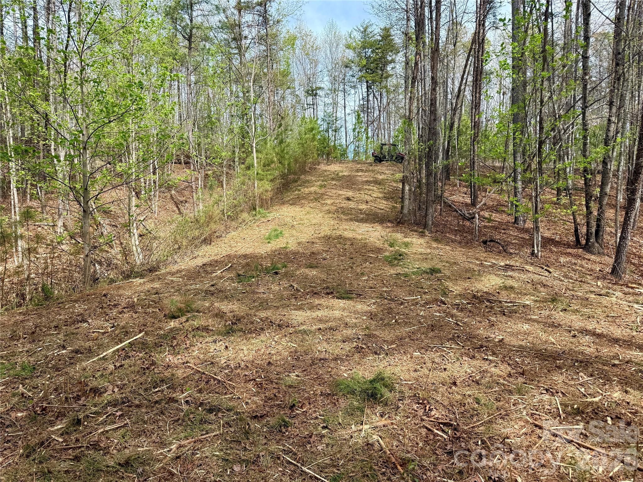 Grandview Peaks - Land