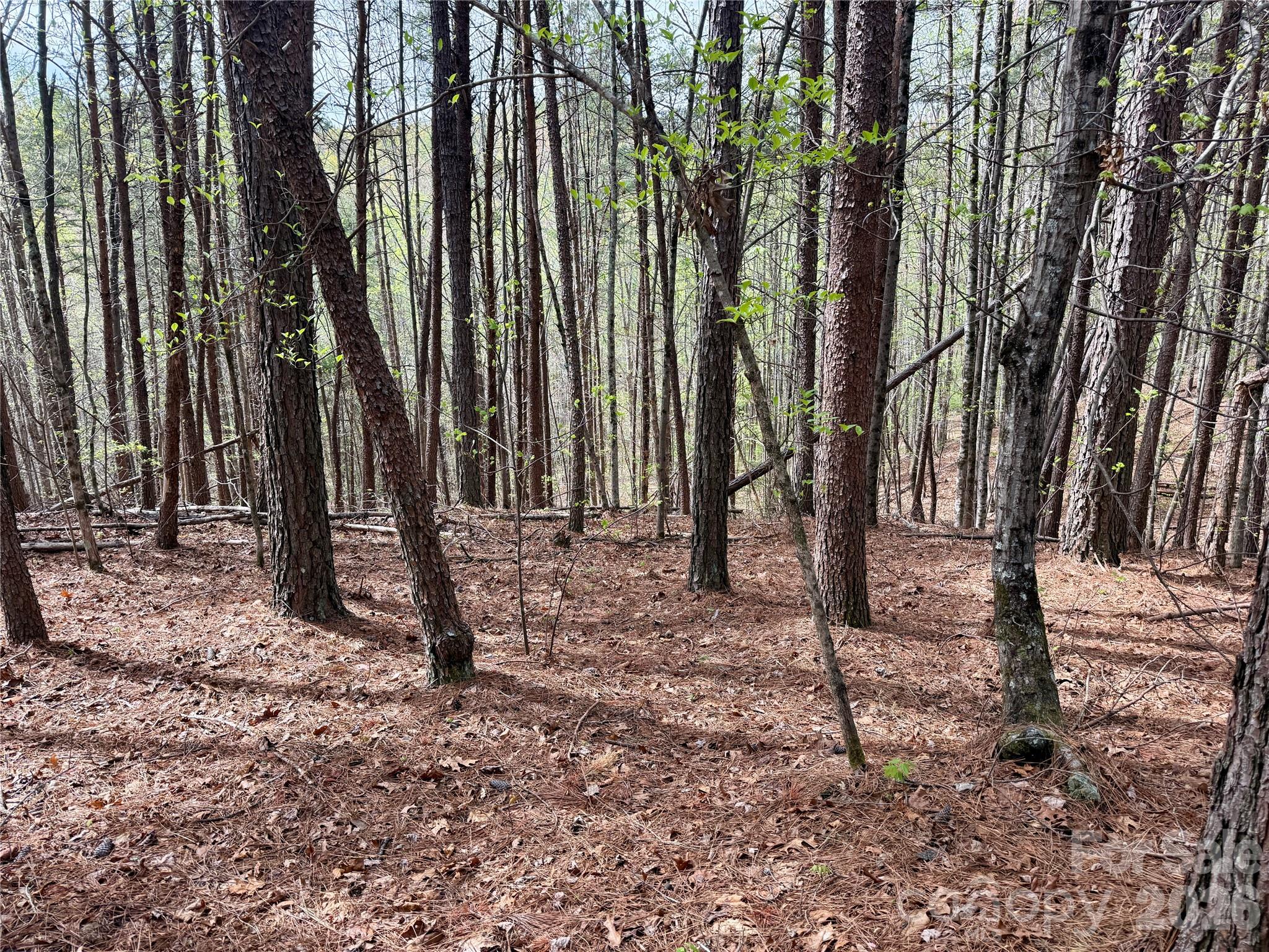 Grandview Peaks - Land