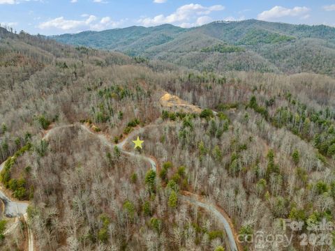 400 Pine Cone Trail 20 Marshall NC 28753