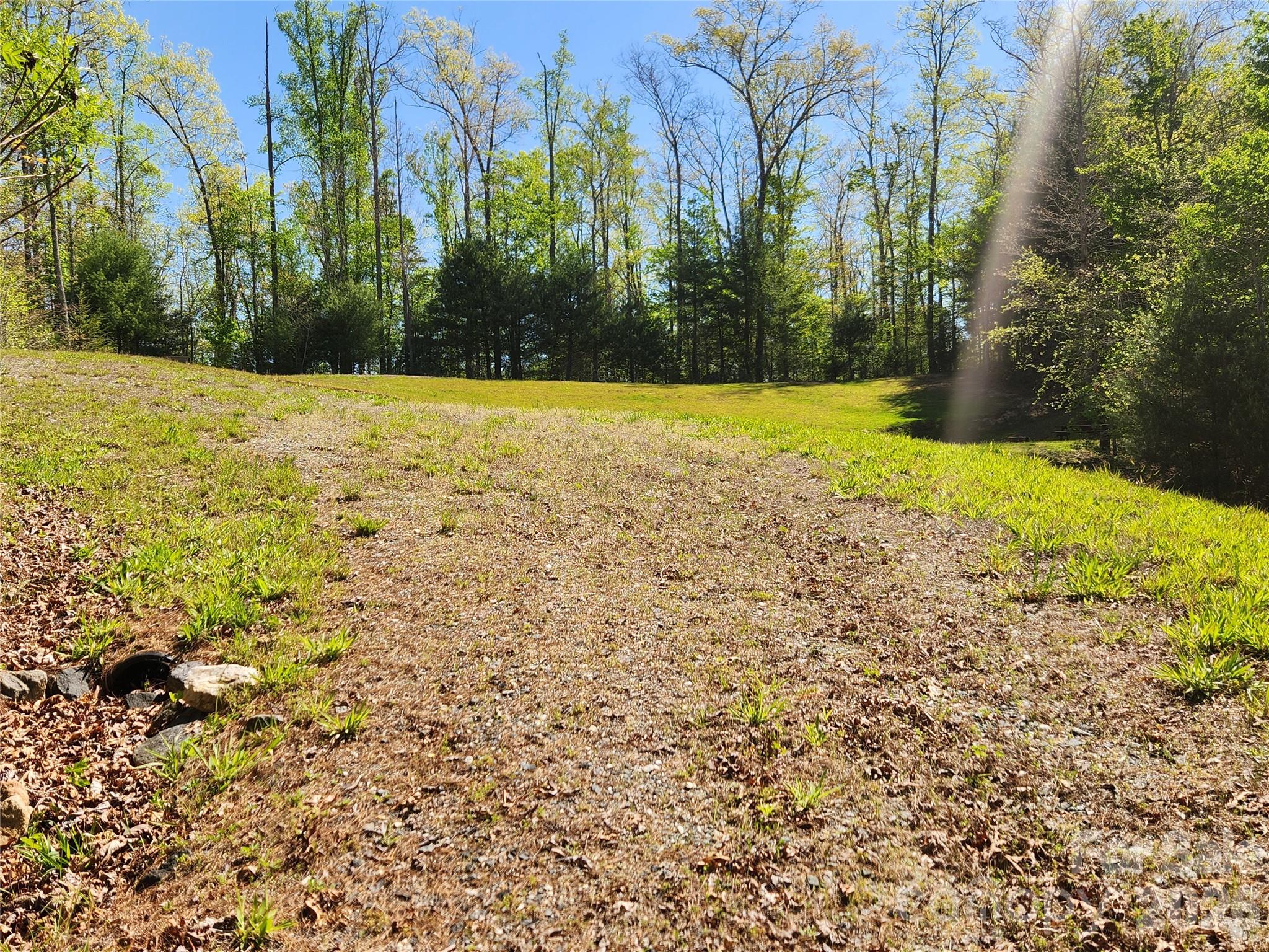 Firefly Mountain - Land