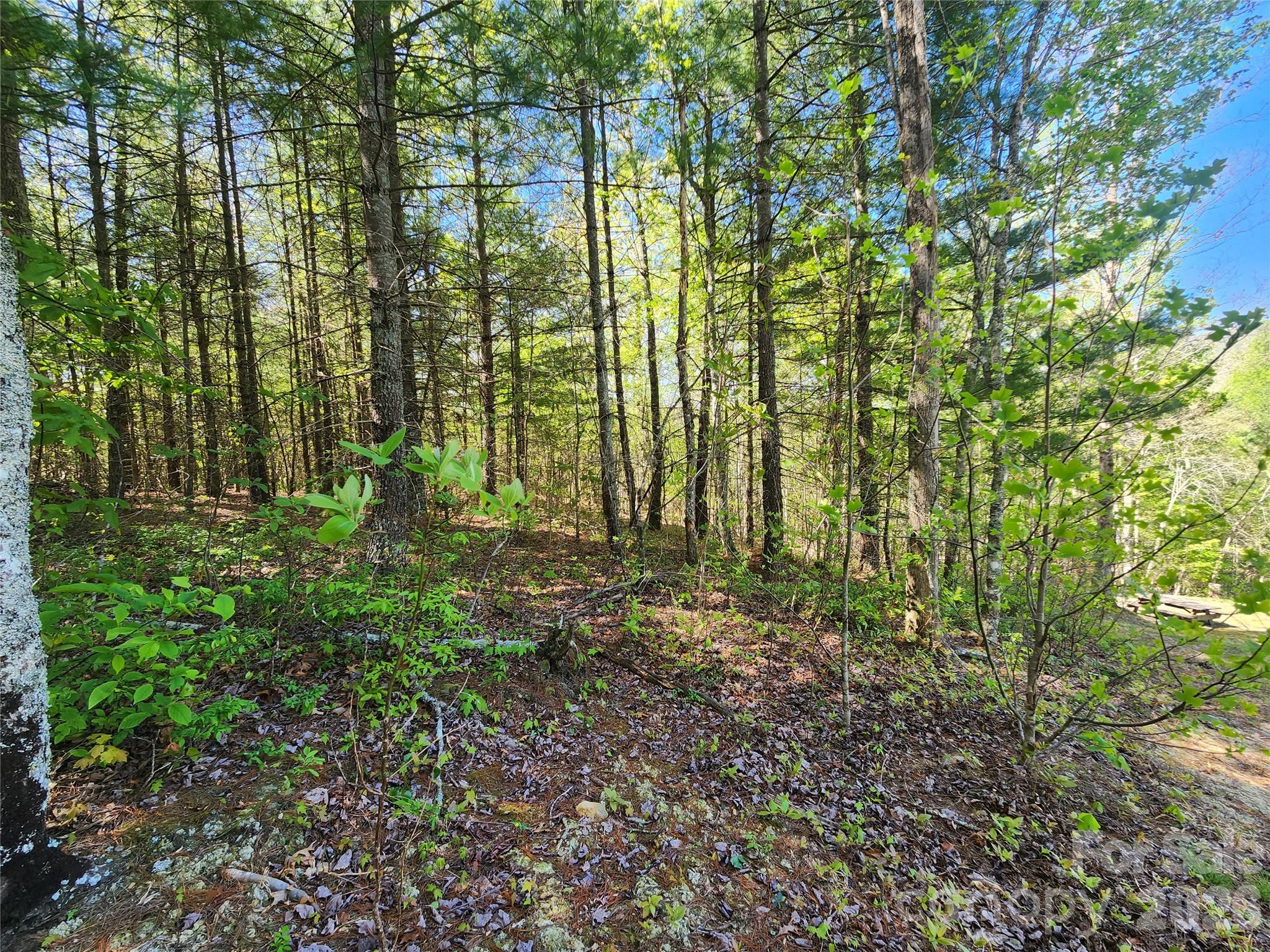 Firefly Mountain - Land