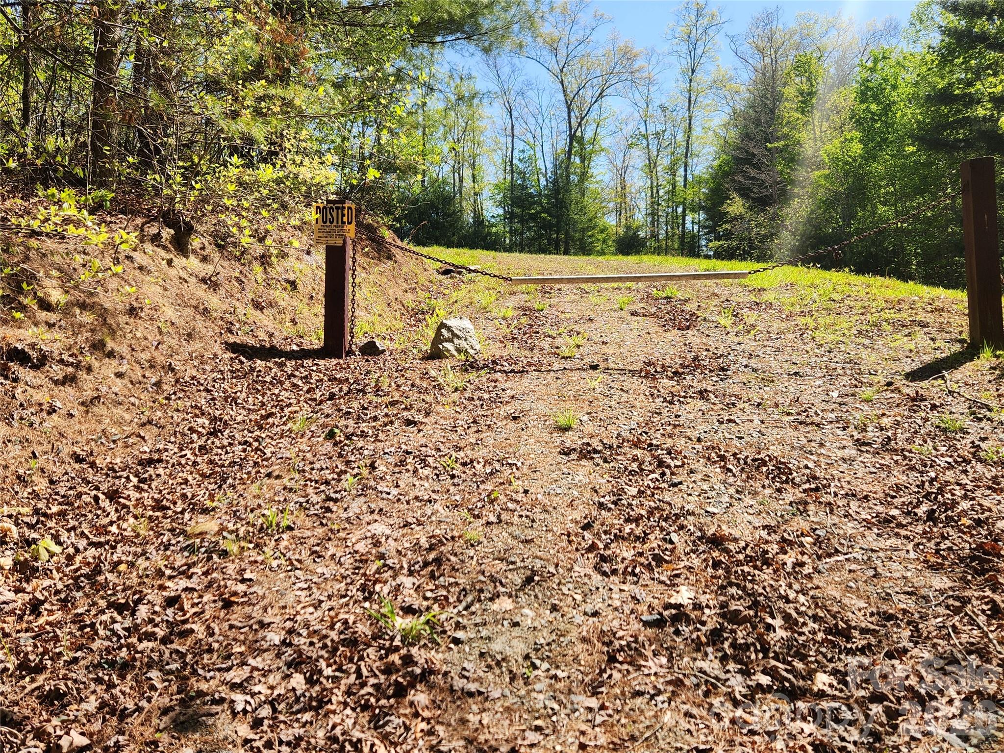 Firefly Mountain - Land