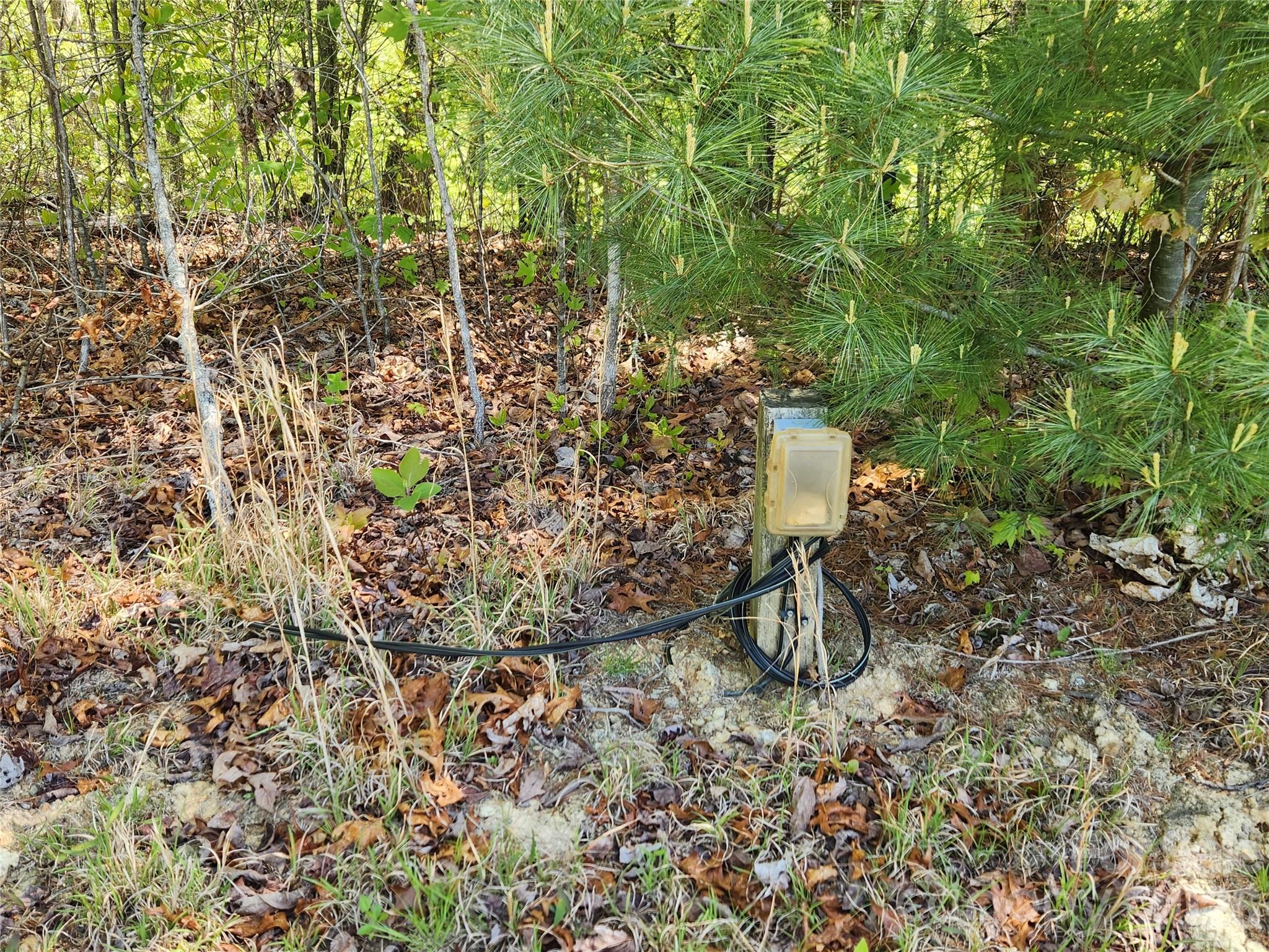 Firefly Mountain - Land