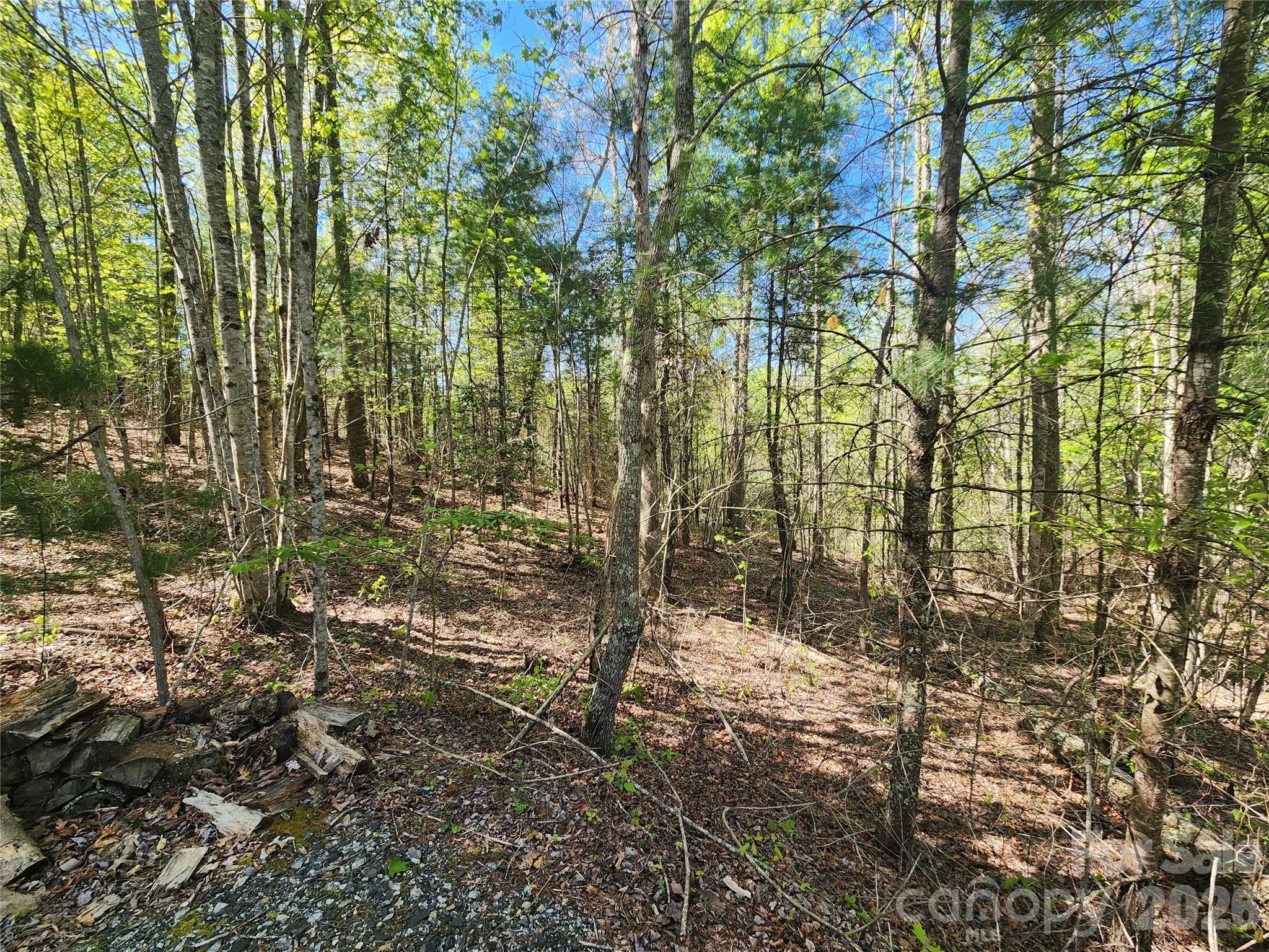 Firefly Mountain - Land