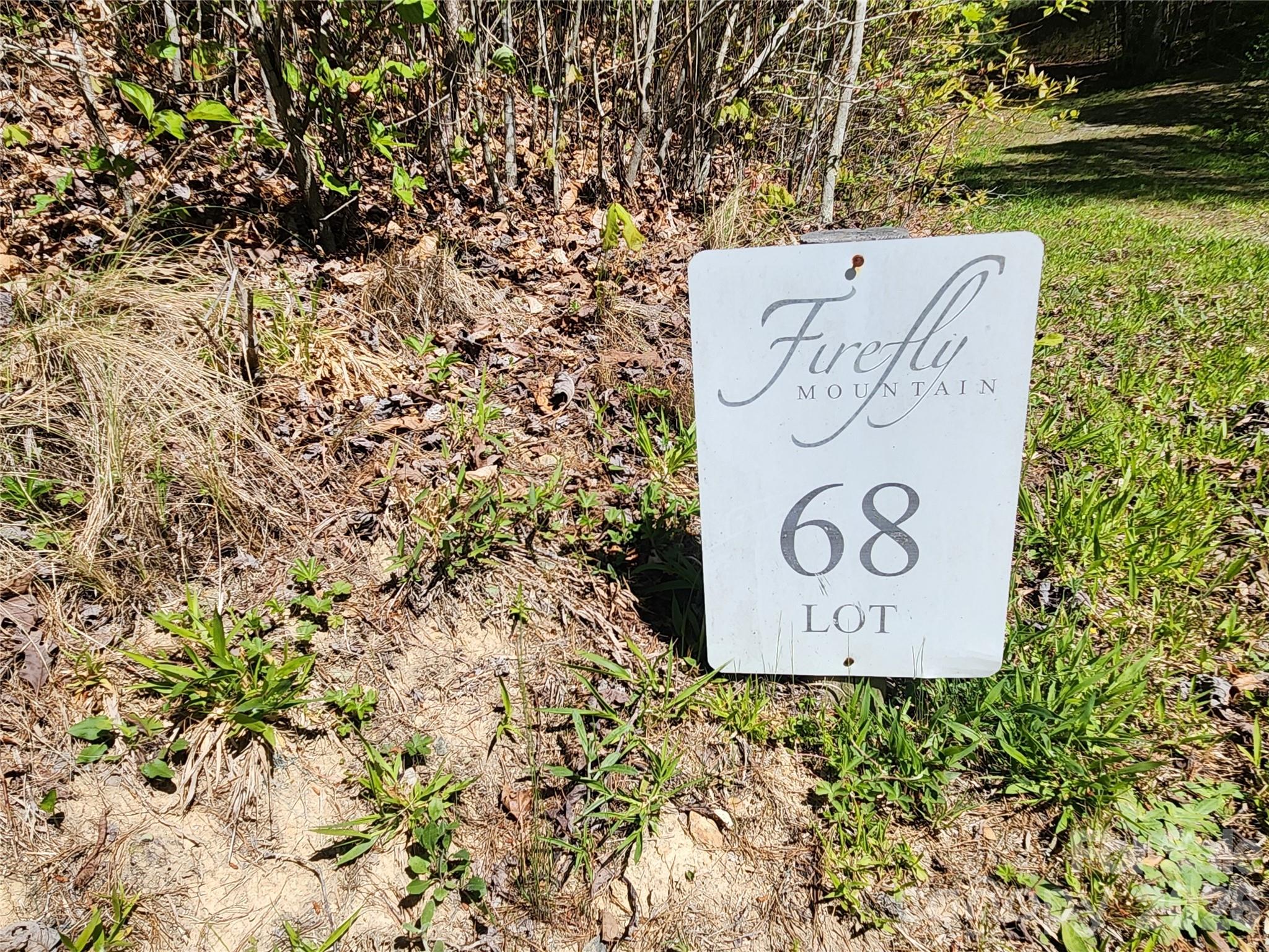 Firefly Mountain - Land