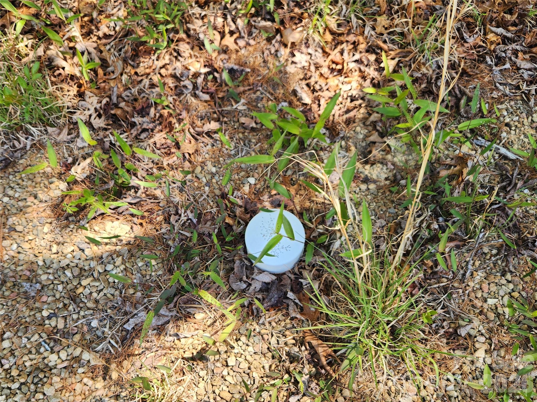 Firefly Mountain - Land