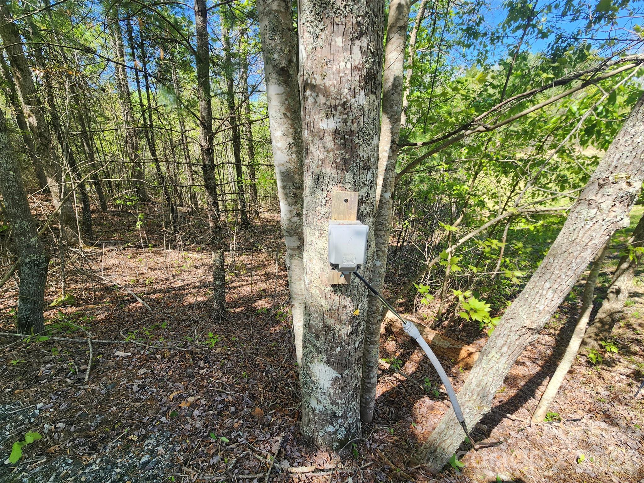 Firefly Mountain - Land