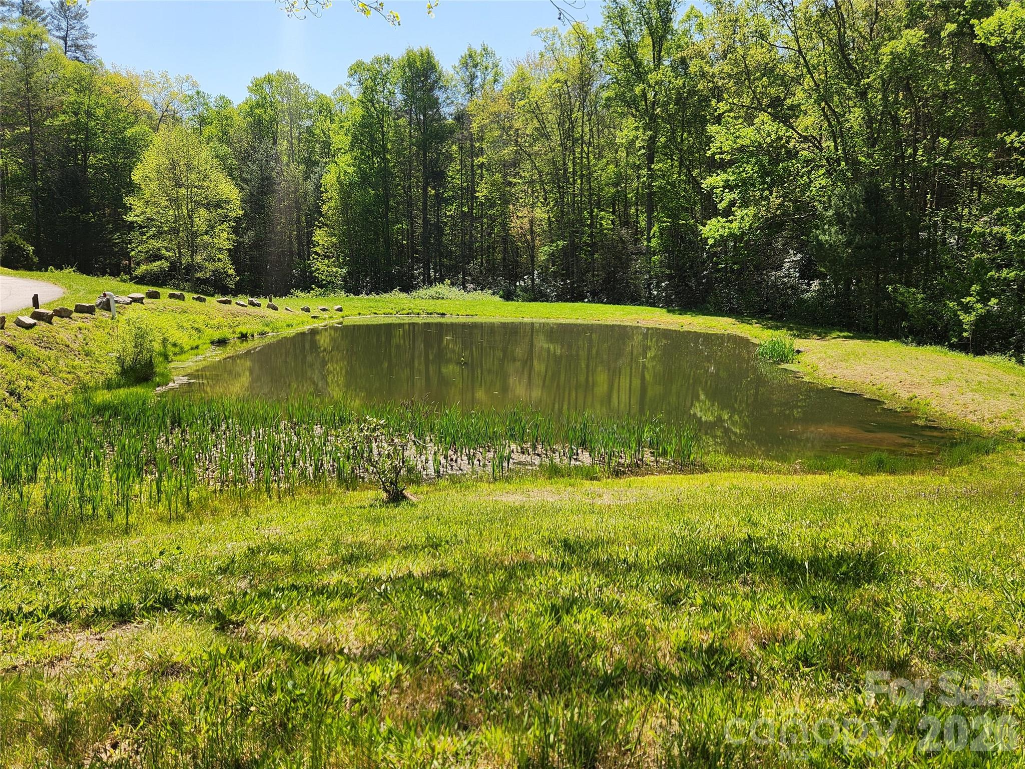 Firefly Mountain - Land