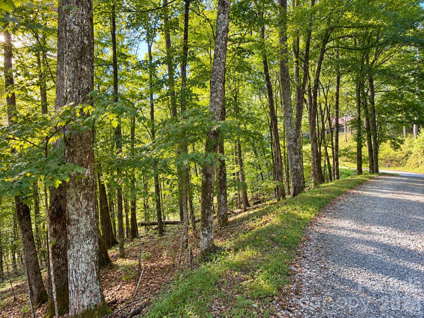 LOT 115 Sugar Tree Lane 115