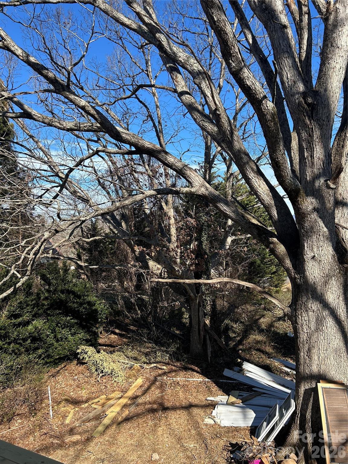 Mallory Meadows - Residential