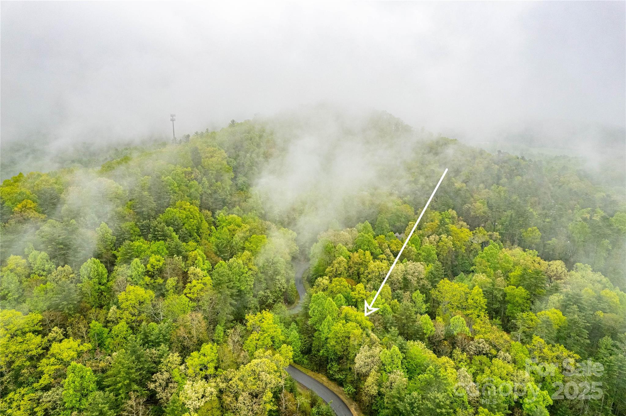 Mountain Brook - Land