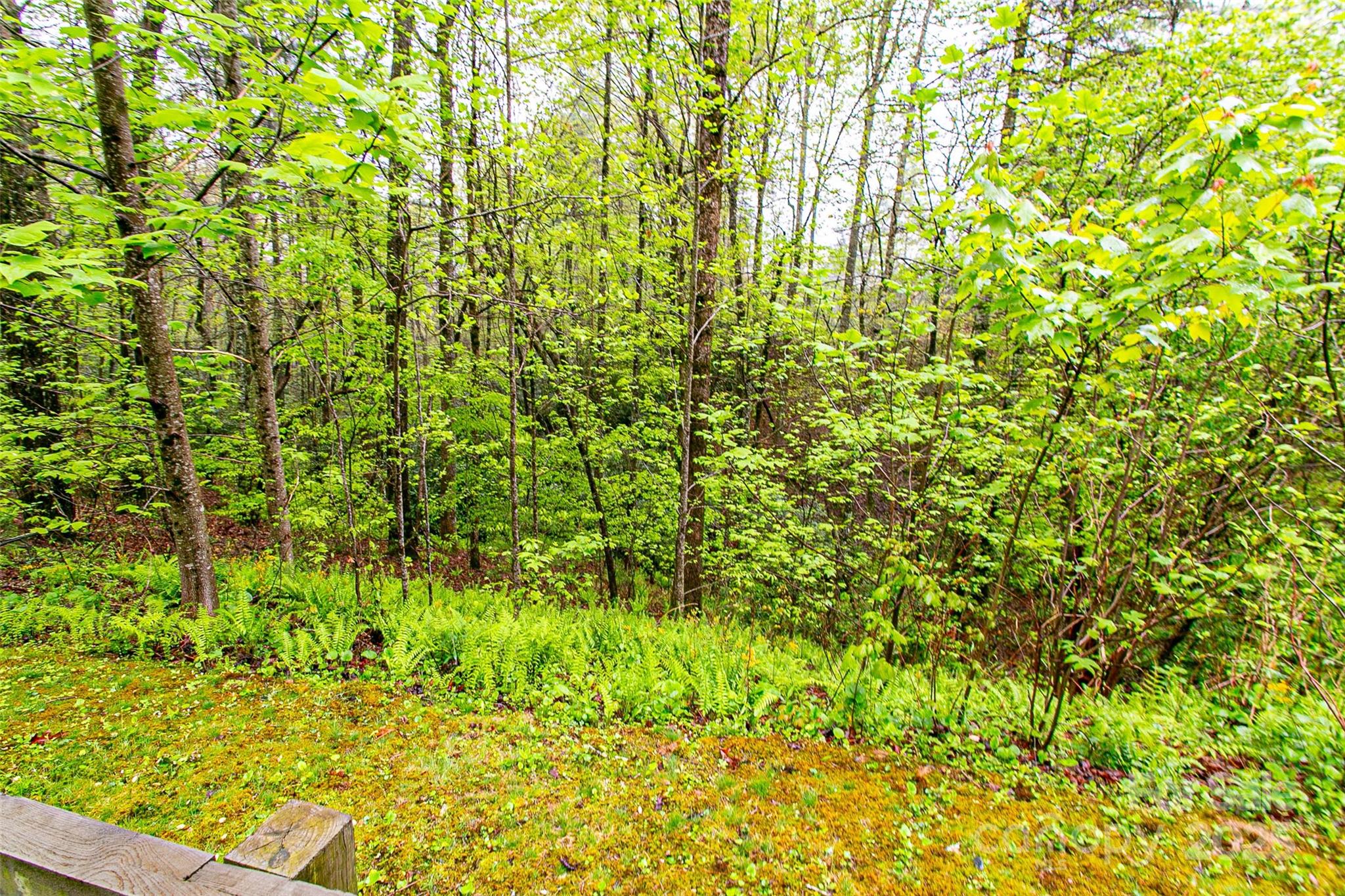 TBD High Hemlock Trail 46