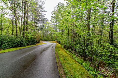 TBD High Hemlock Trail 46 Brevard NC 28712