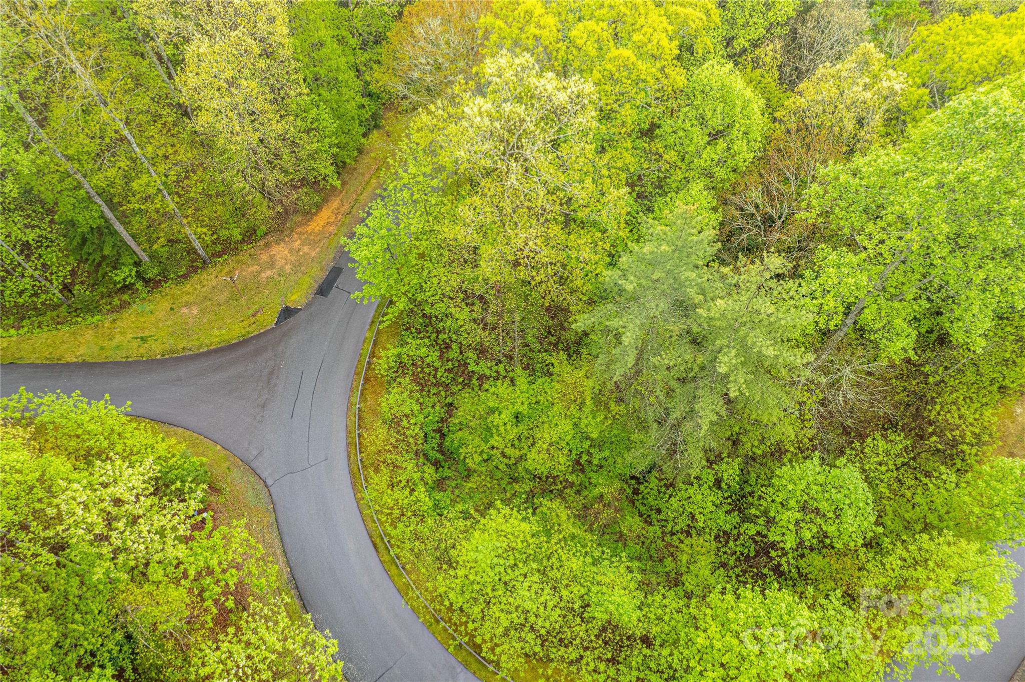 Mountain Brook - Land