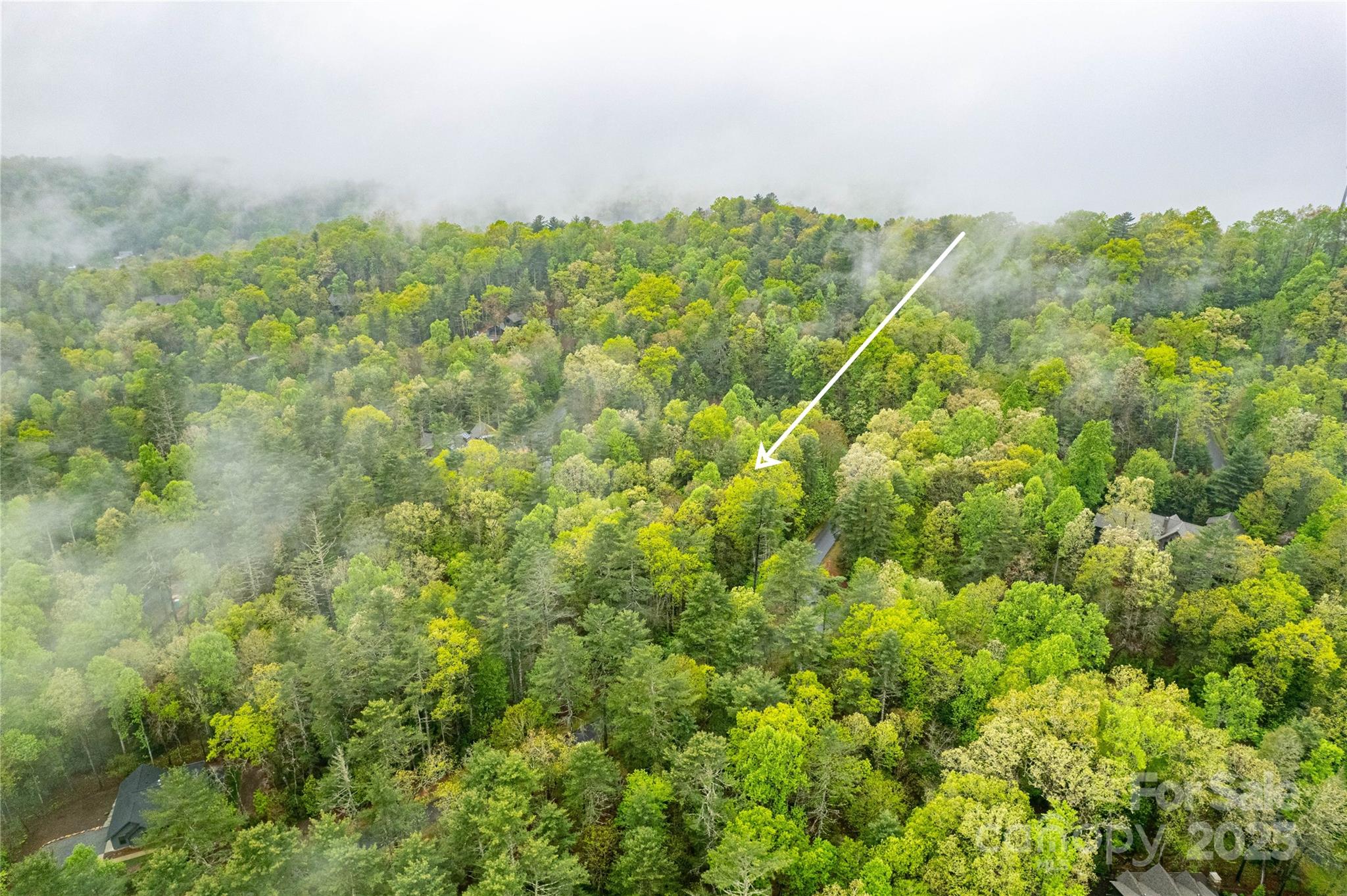 Mountain Brook - Land