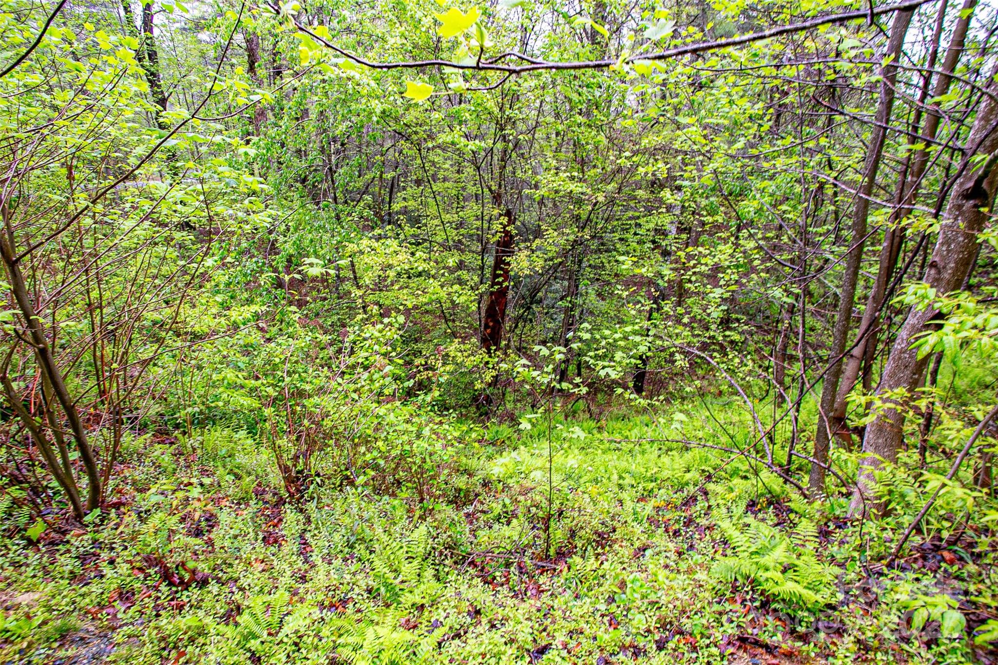 TBD High Hemlock Trail 46