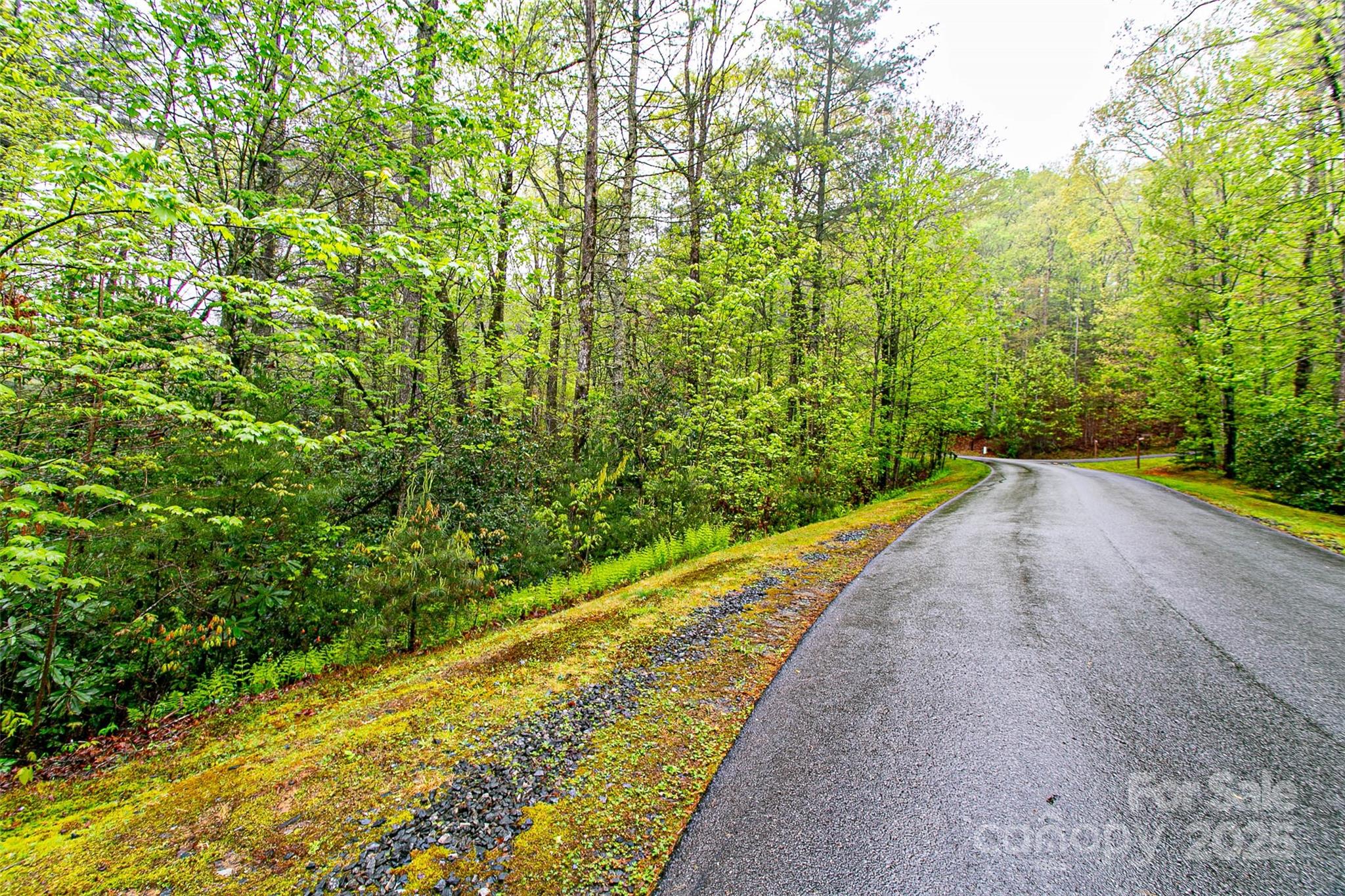 Mountain Brook - Land