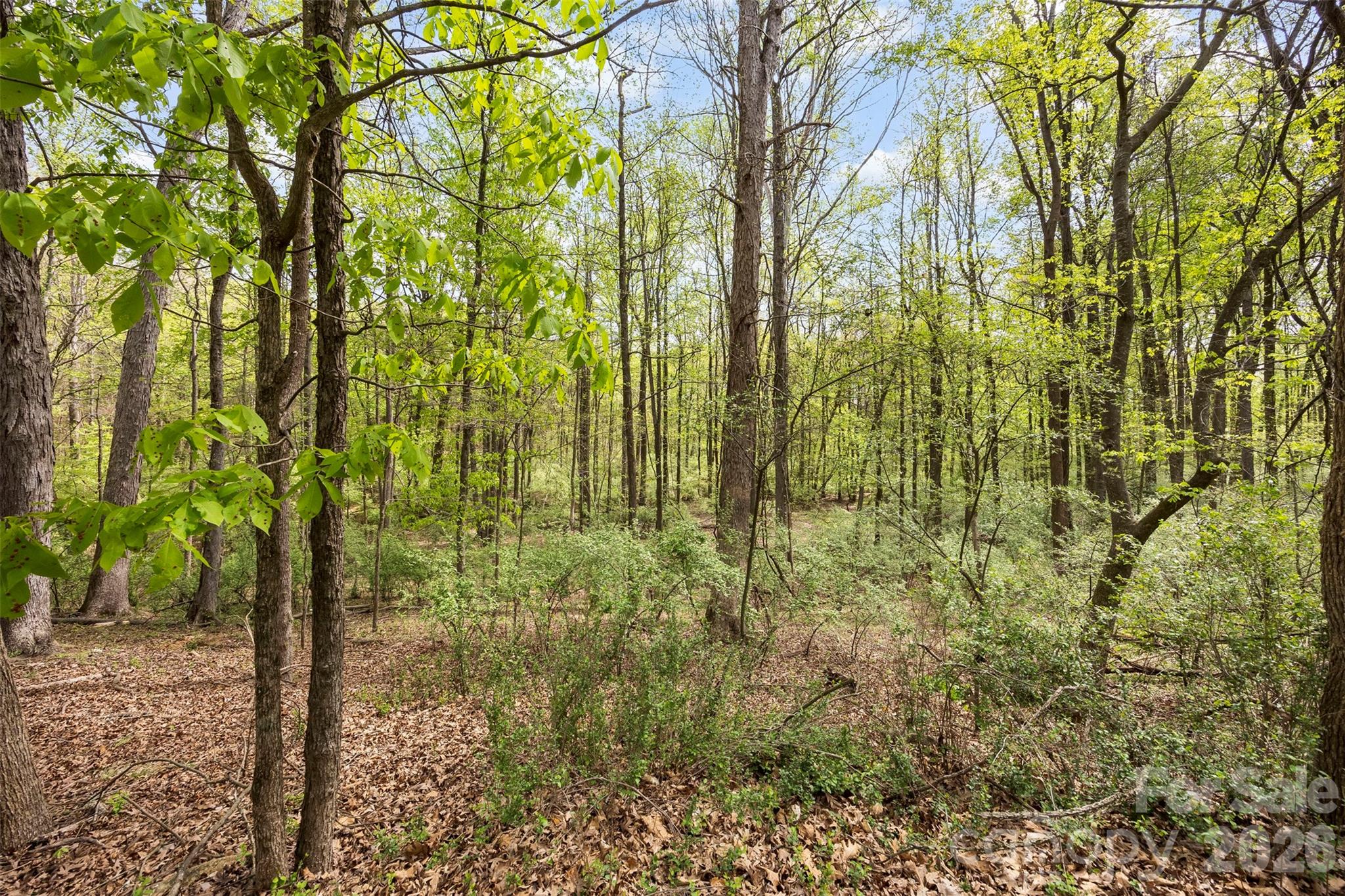 The Sanctuary - Residential