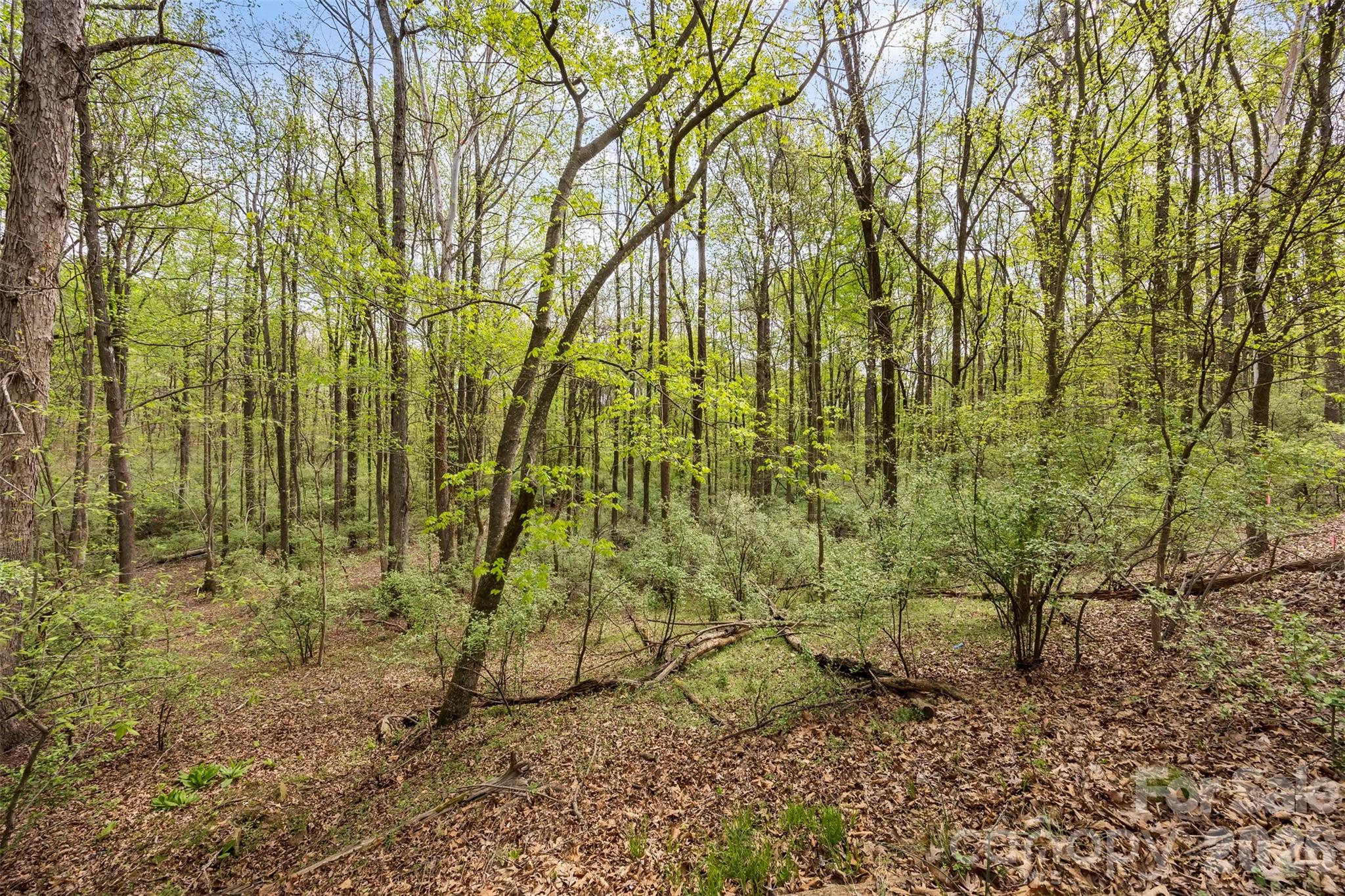 The Sanctuary - Residential