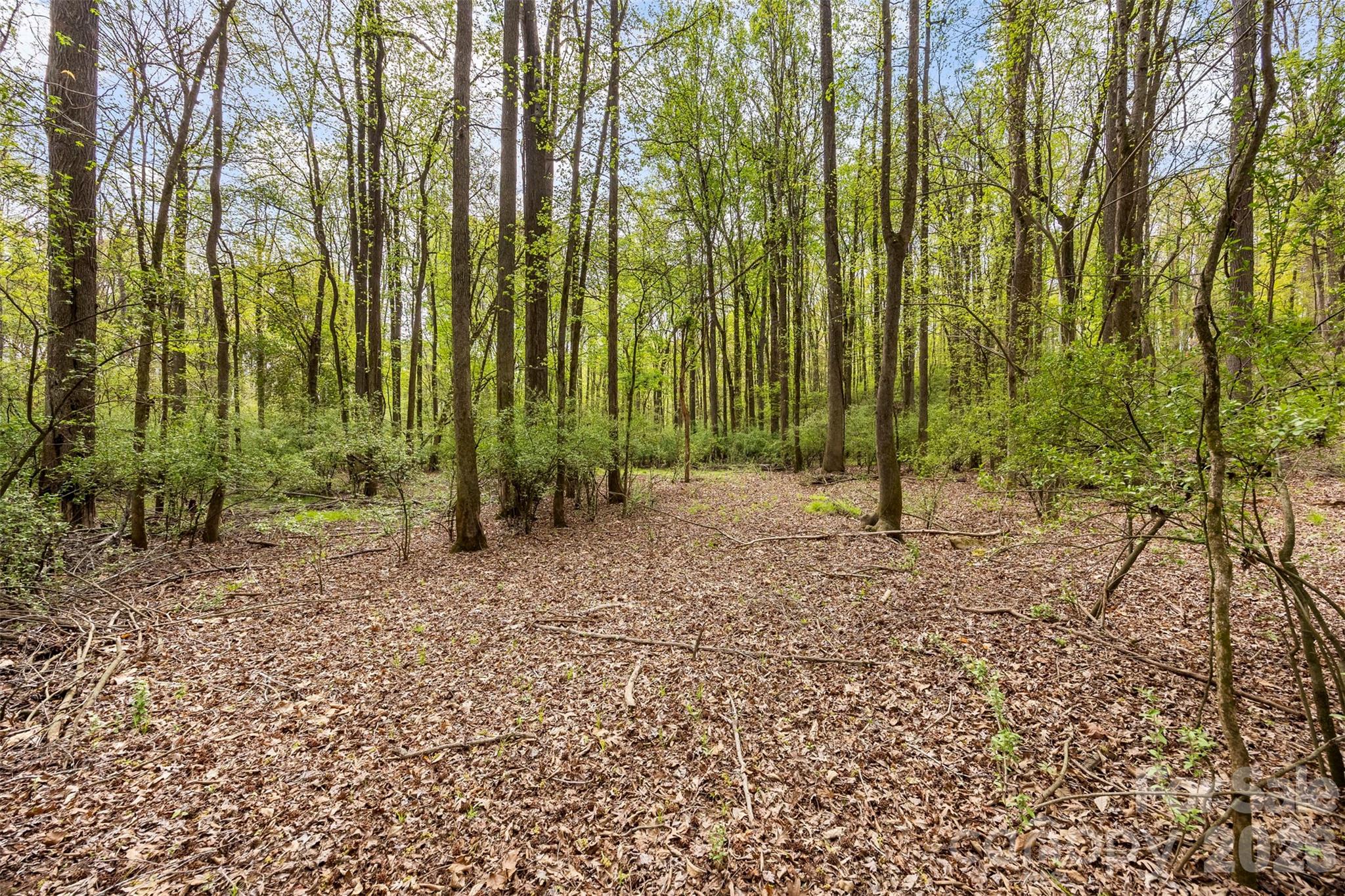 The Sanctuary - Residential