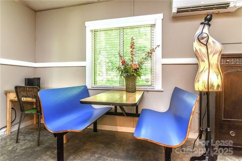 543 College Street Asheville NC 28801