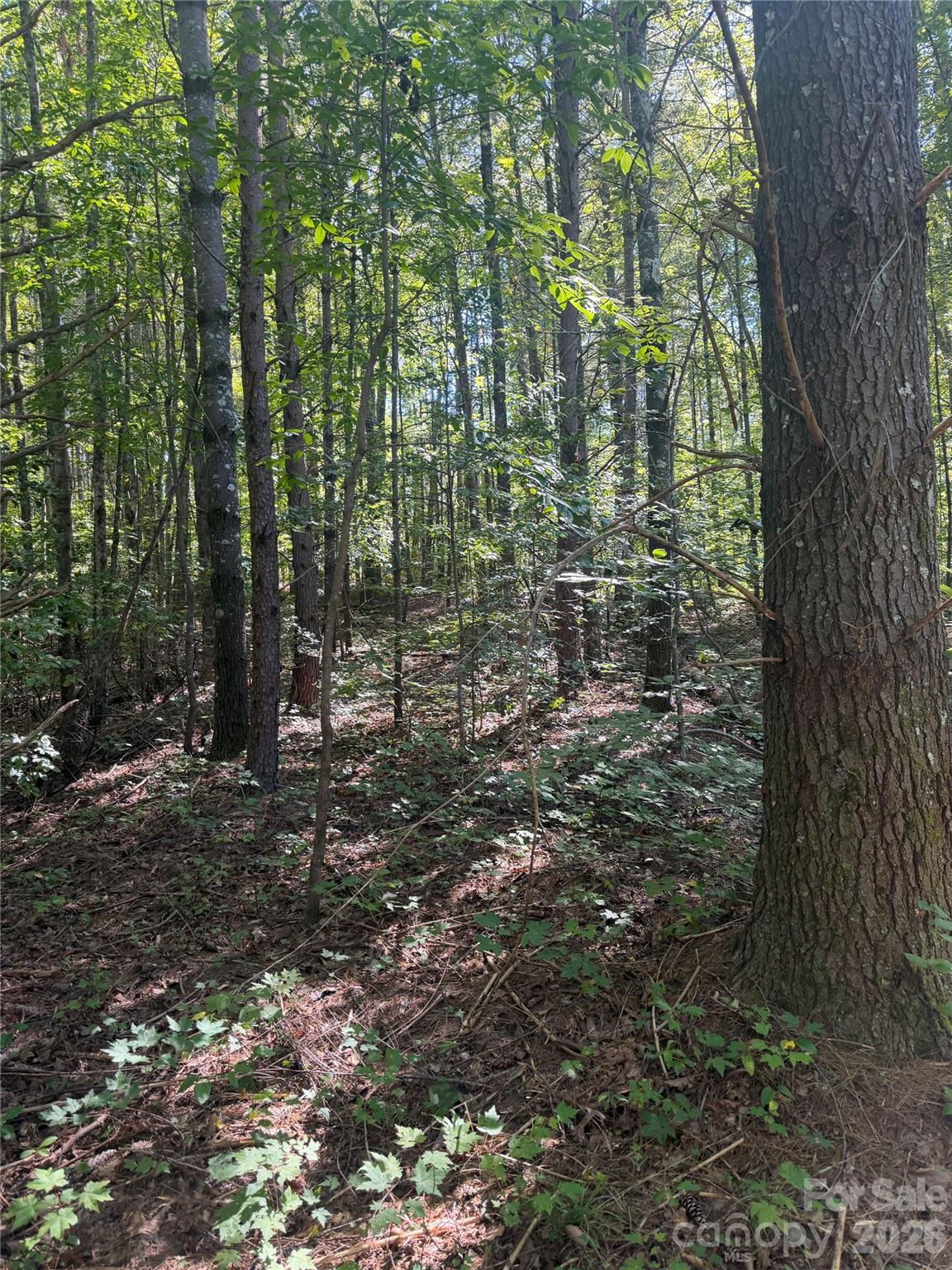 1310 Old Neal Road 3