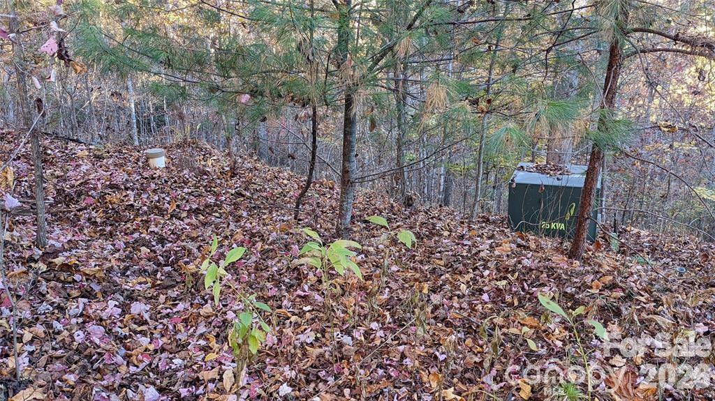 512 Wild River Run 65
